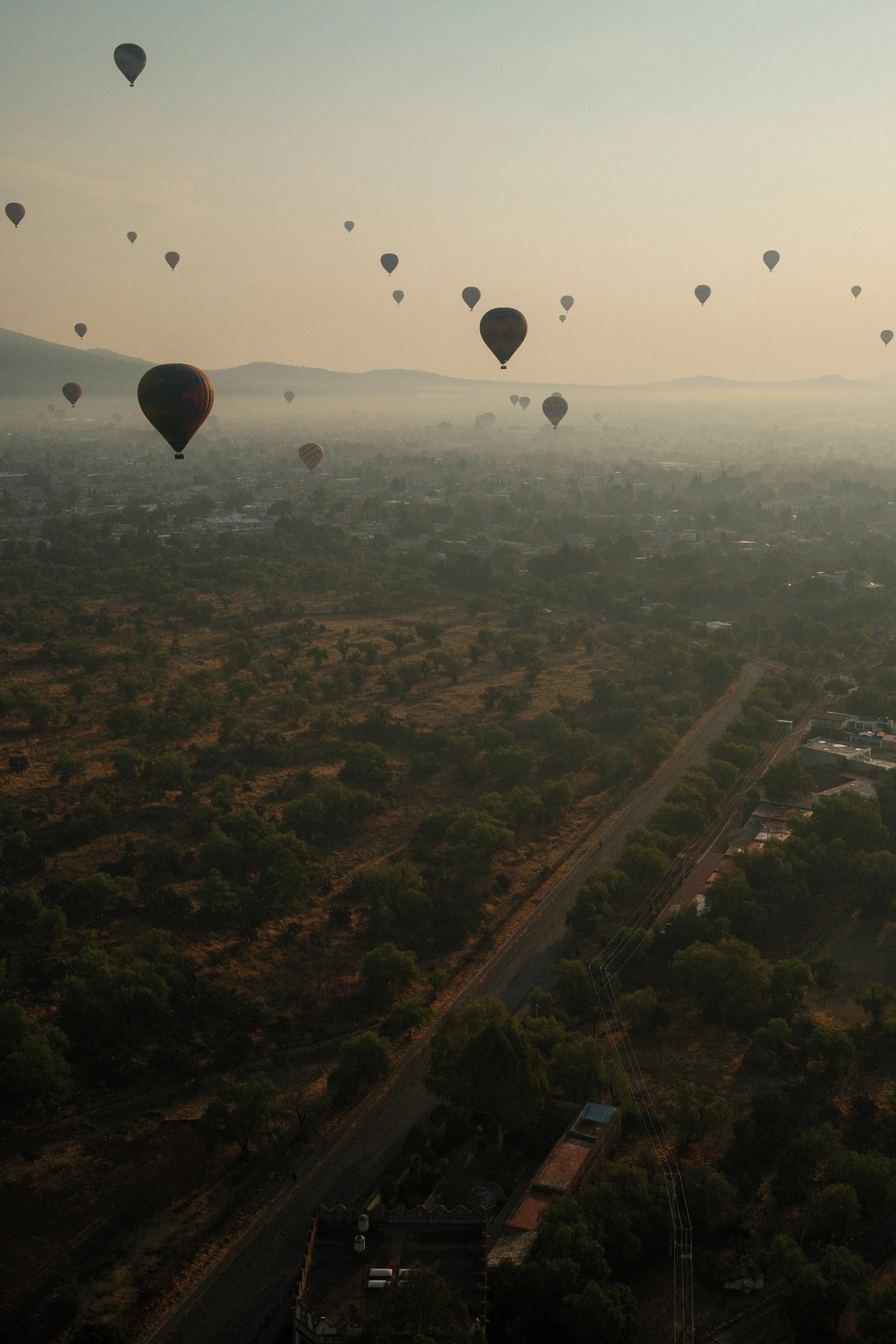 Many hot air balloons floating in the sky over a landscape with trees, roads, and buildings during sunrise or sunset.