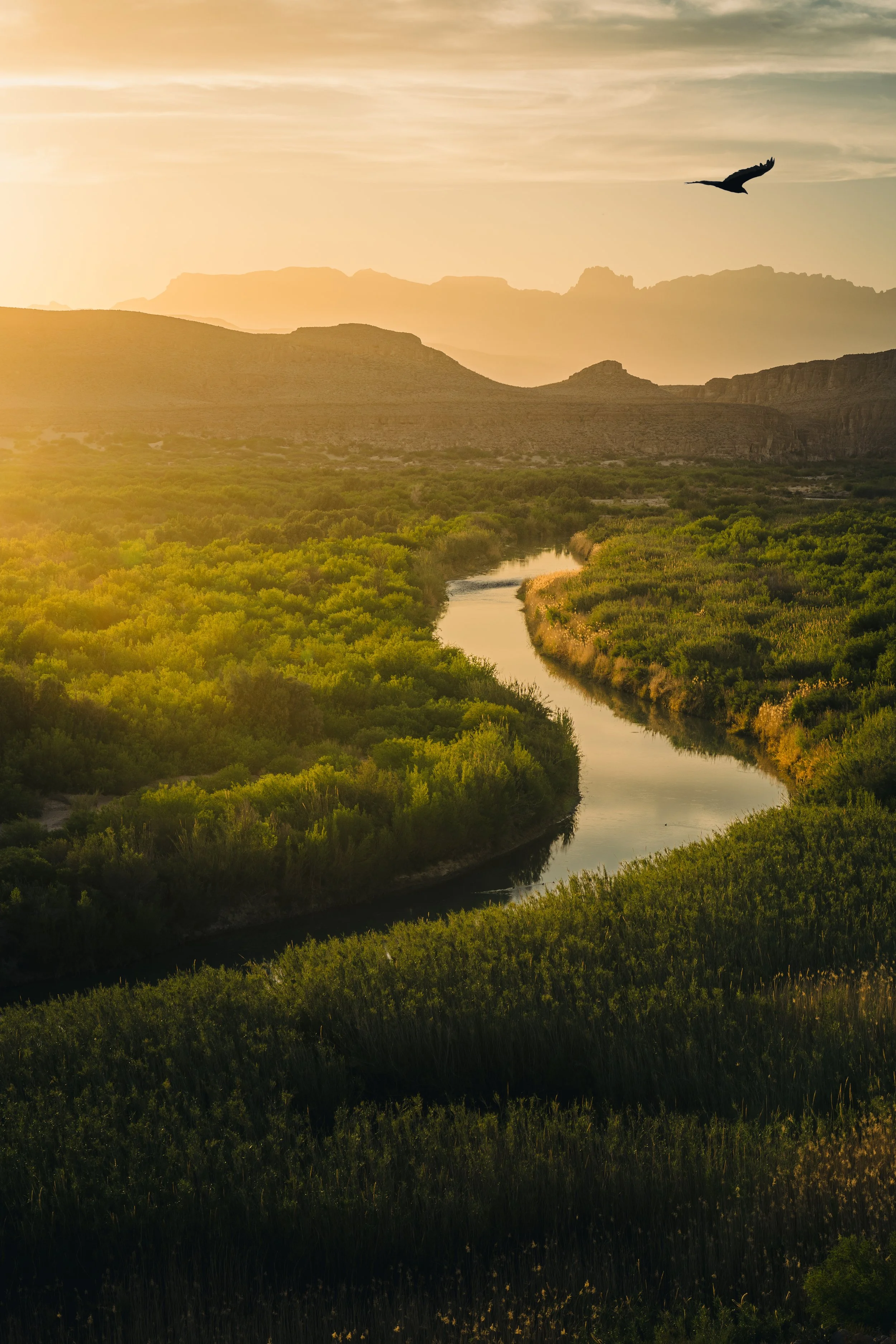 A winding river flowing through a green landscape at sunset, with a bird flying in the sky and mountains in the background.