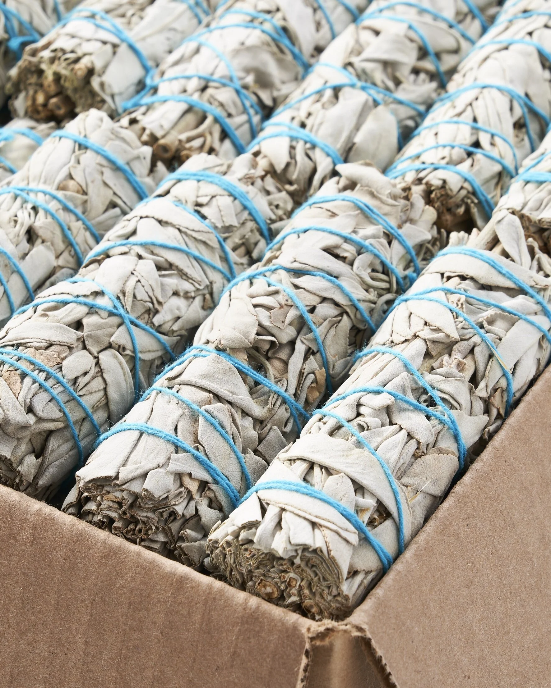 50 White Sage Bundles — Blue River Sage