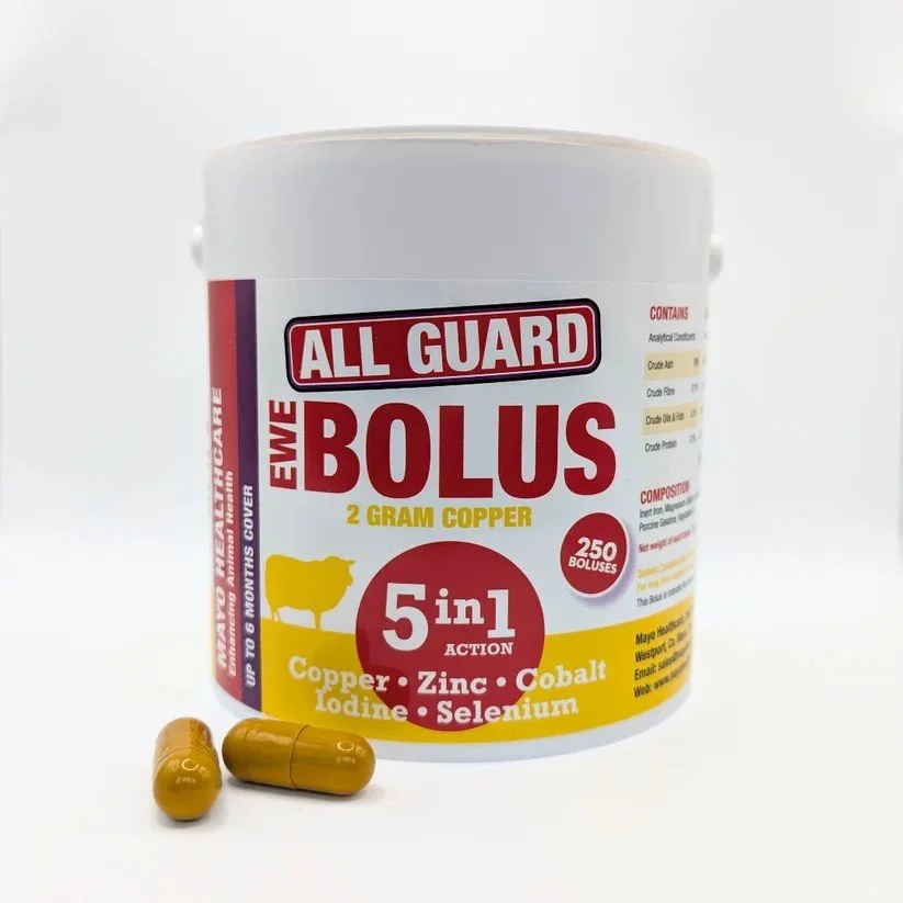 All_Guard_Ewe_Bolus_5in1_2g_Copper.jpg
