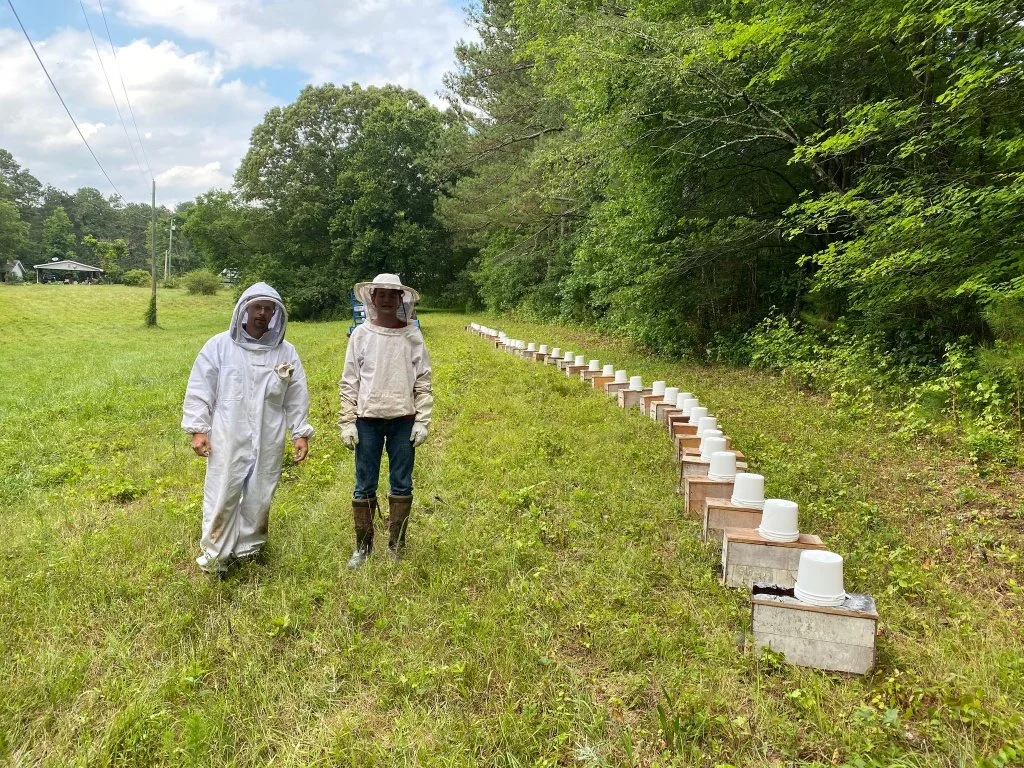 Nucleus Hives Available ($200) $50 for deposit