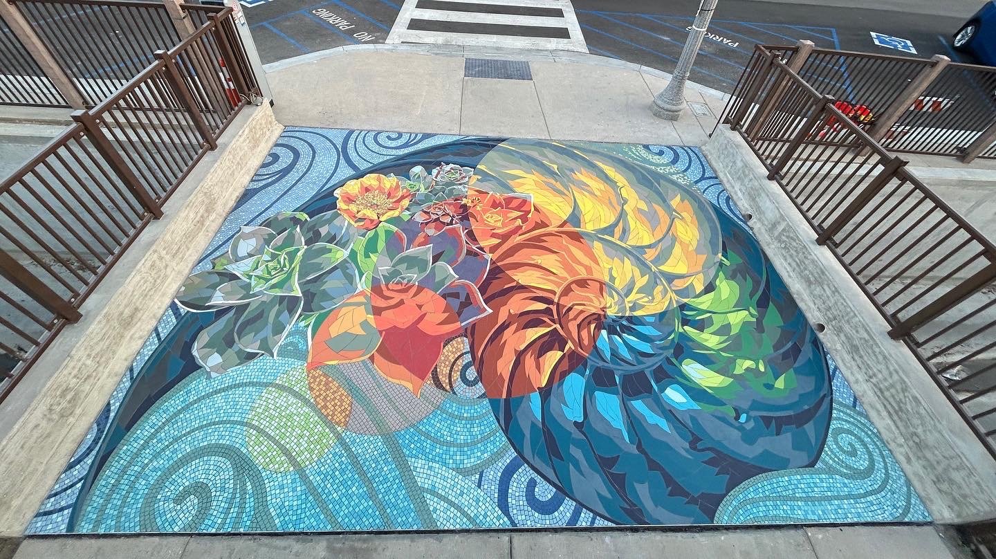 COALESCENCE (Installation View)