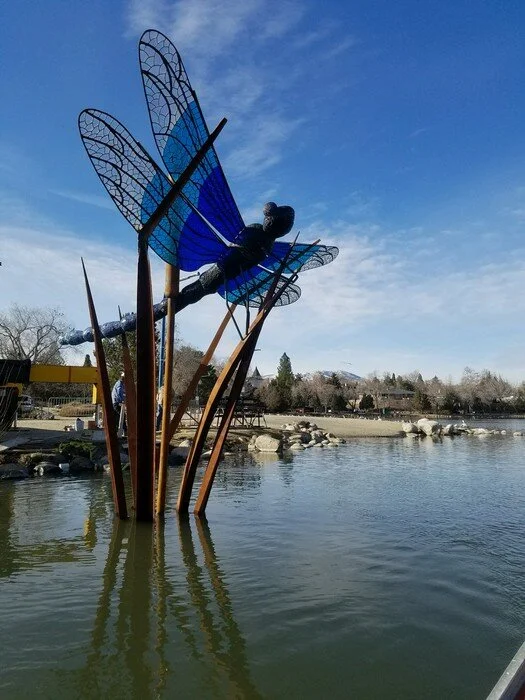 dragonfly.jpg