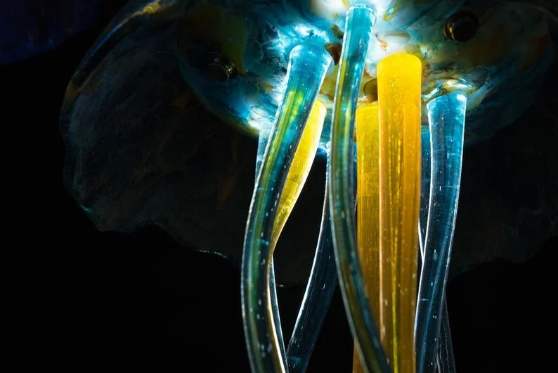close up jelly.jpg