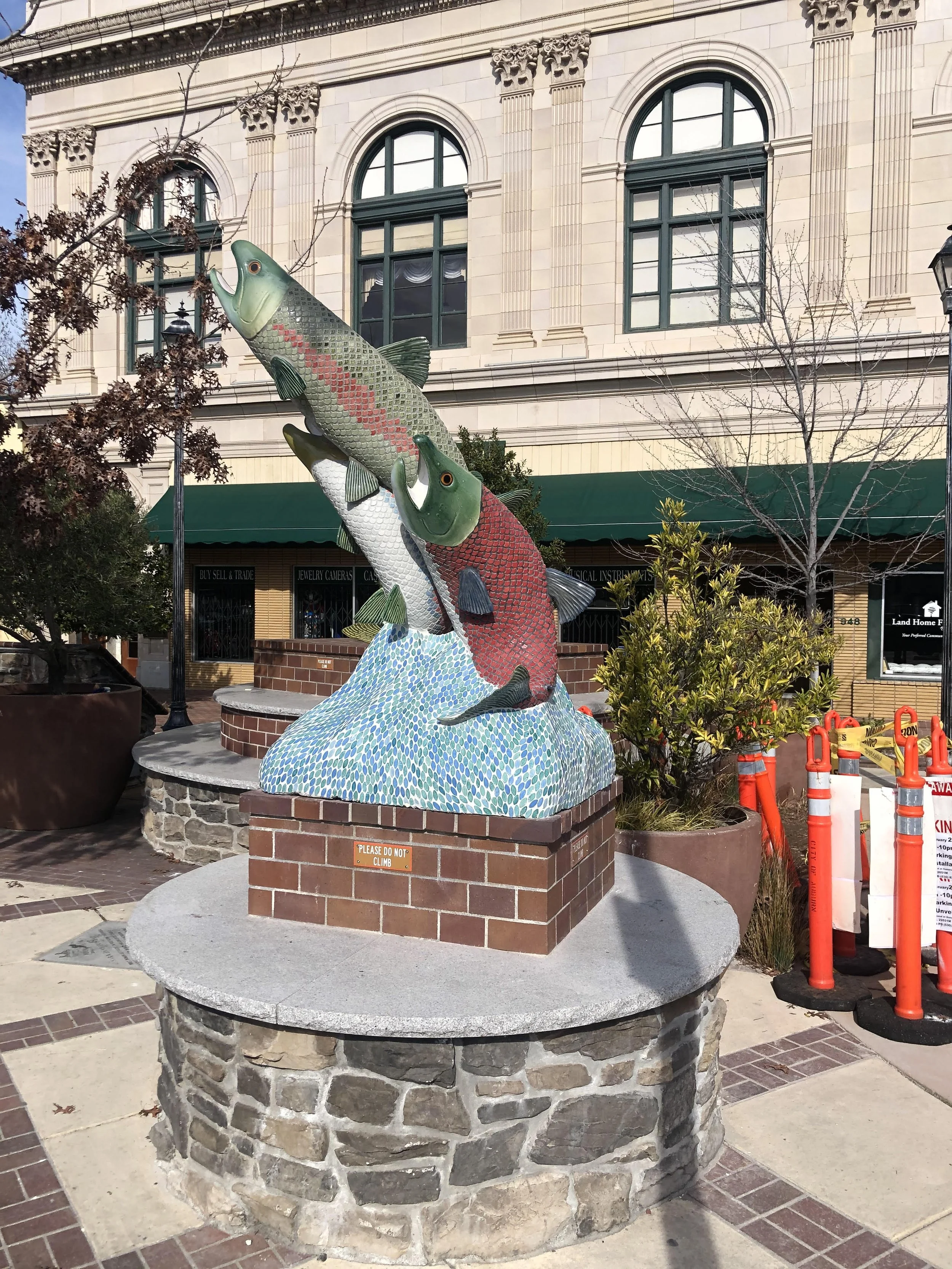 Auburn Fish Salmon.jpg