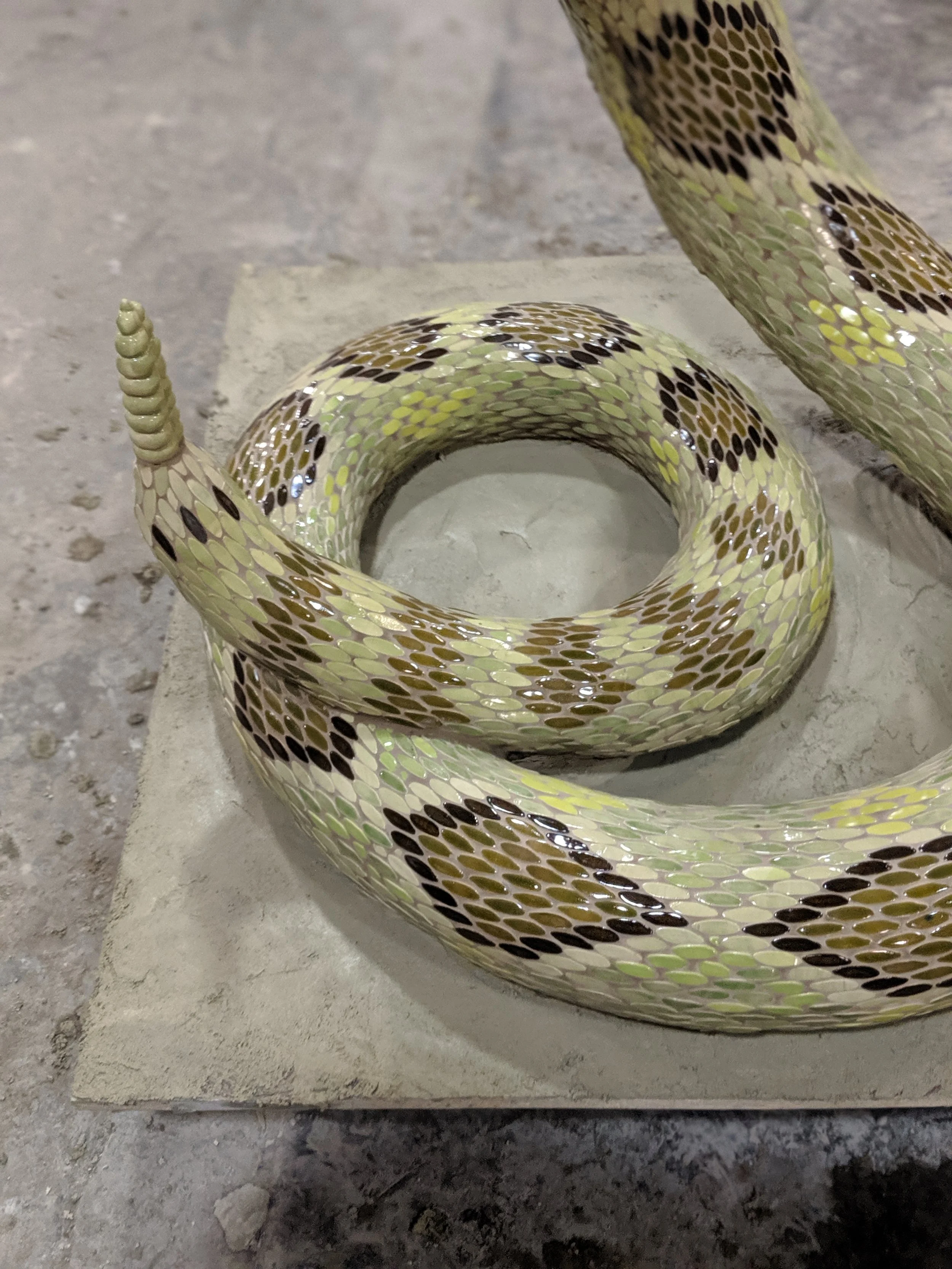 Crotalus2.jpg