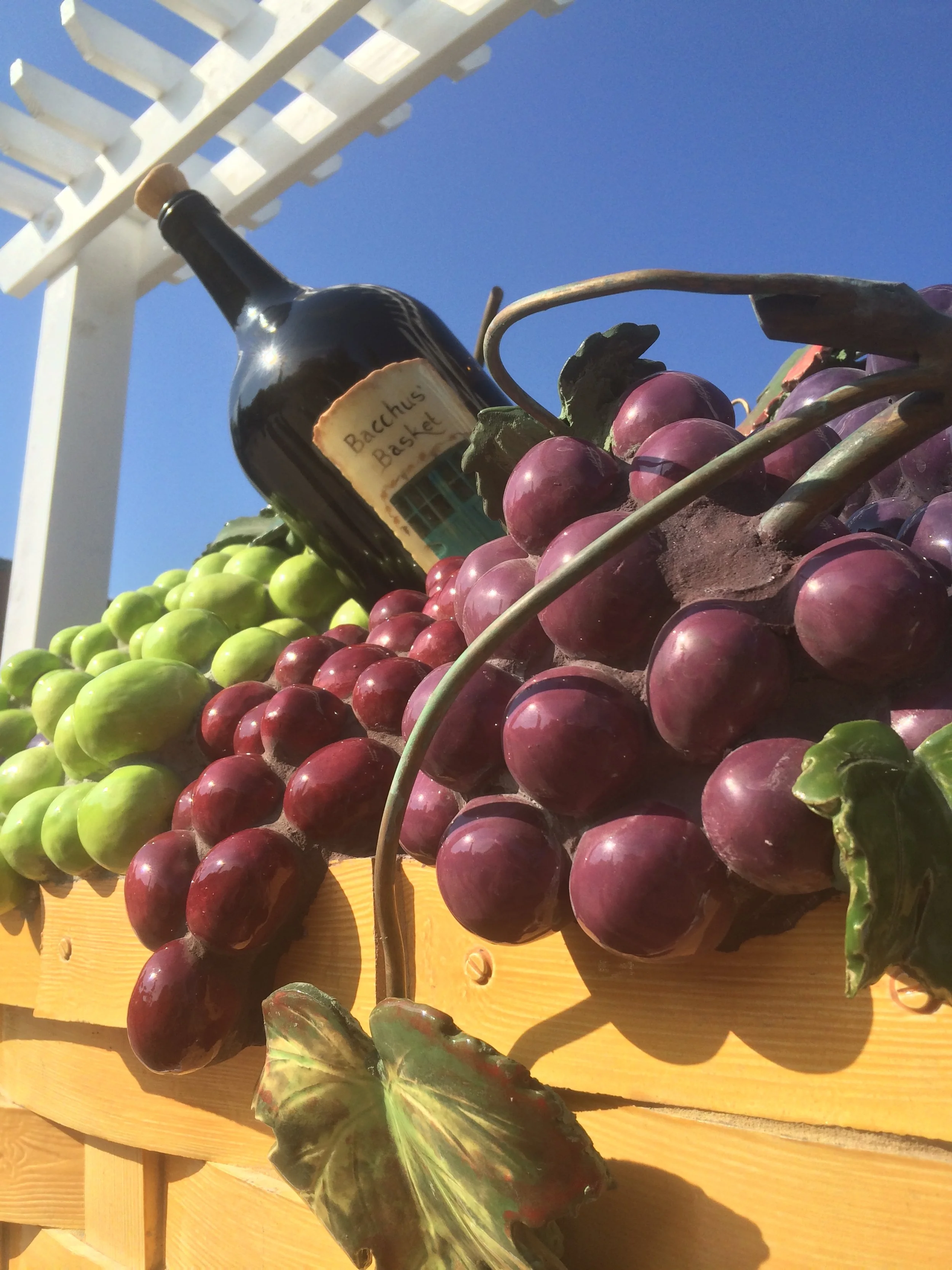 grape basket close up .JPG