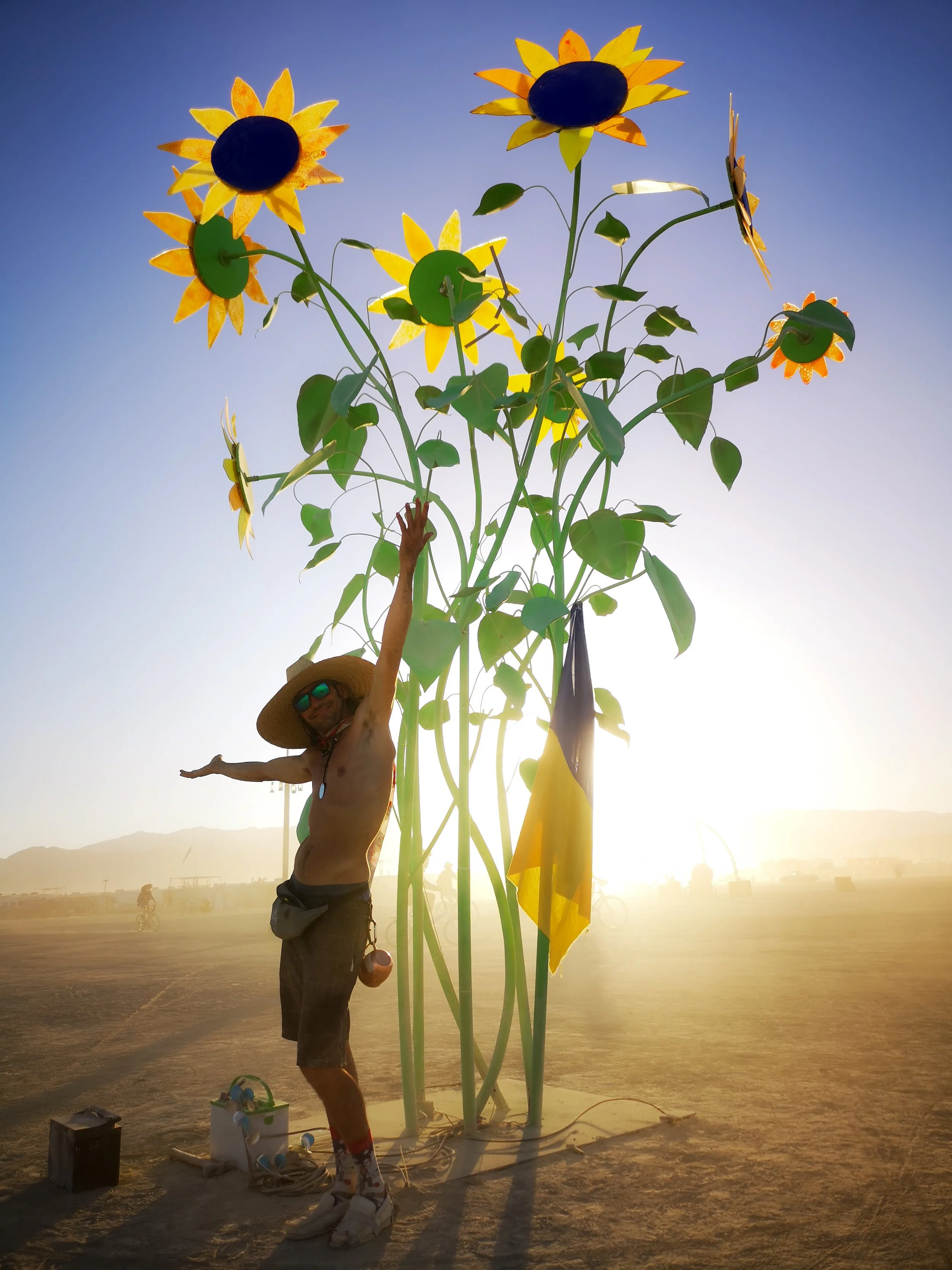 BM_Sonnenblumen-3.jpg