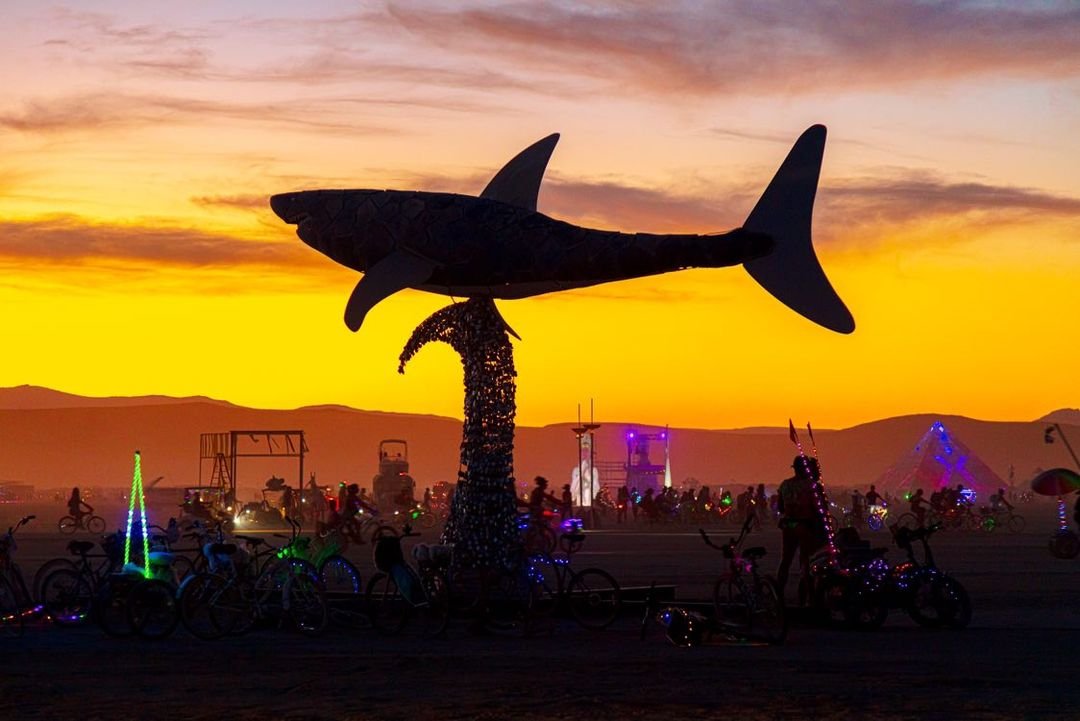shark_fromColinLeibold.jpg