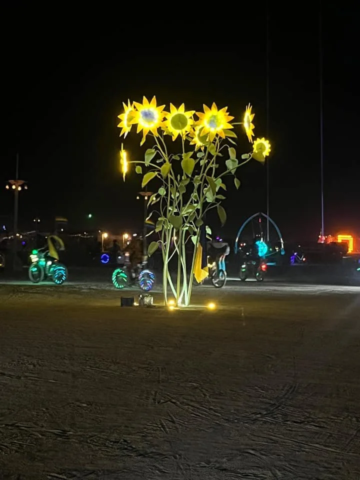 sunflower_night.jpg