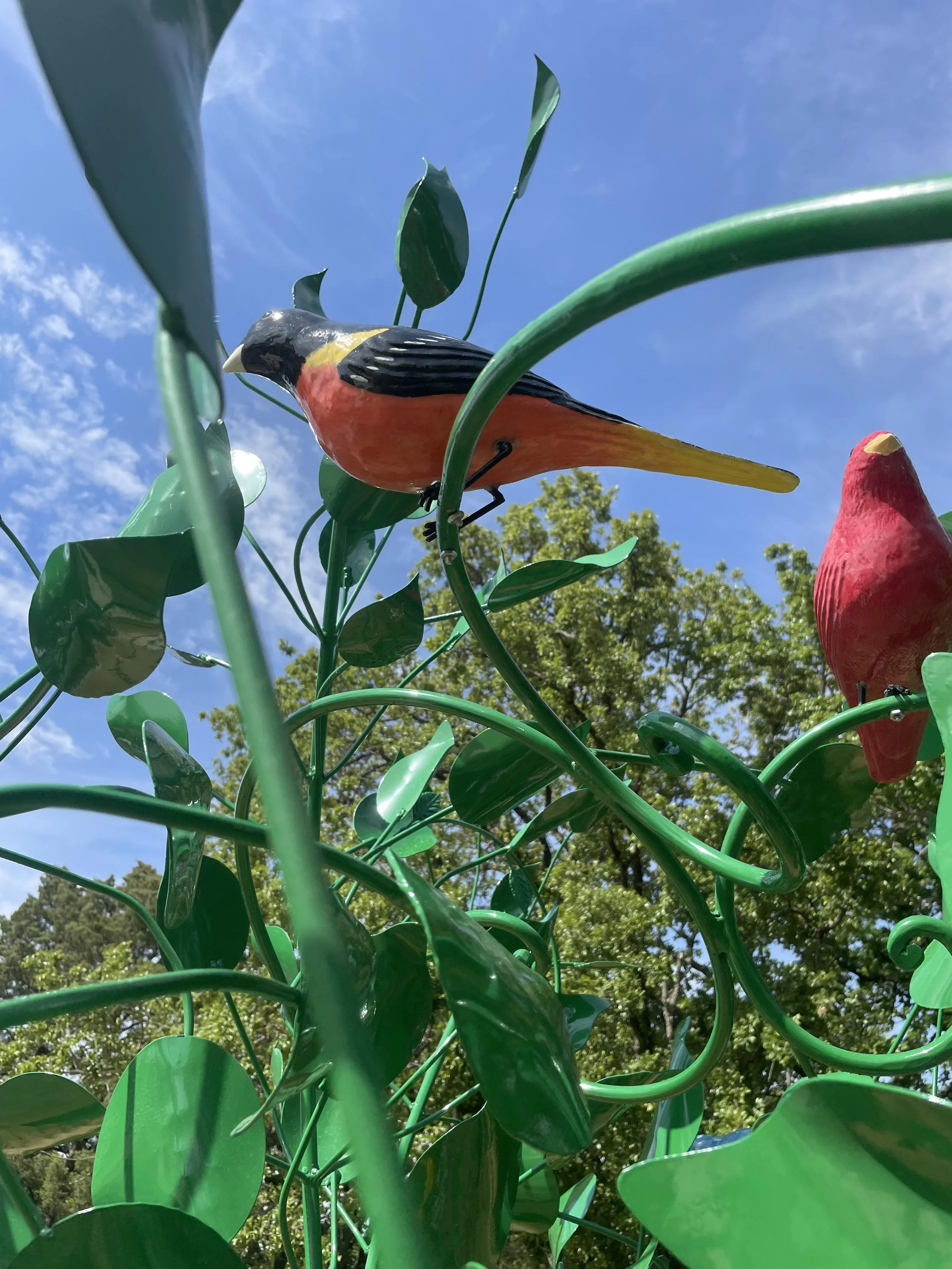 mpBirdCloseup.jpg