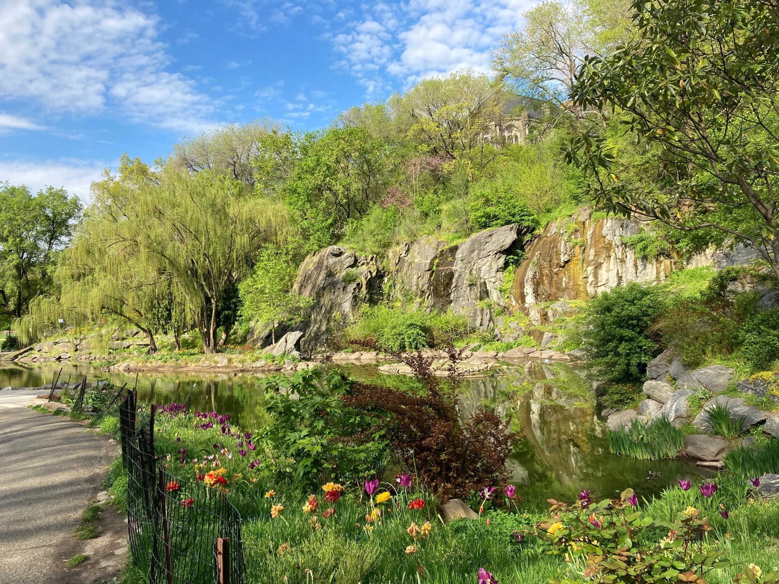 Photo Credit: Sean Katz taken in Central Park 2020