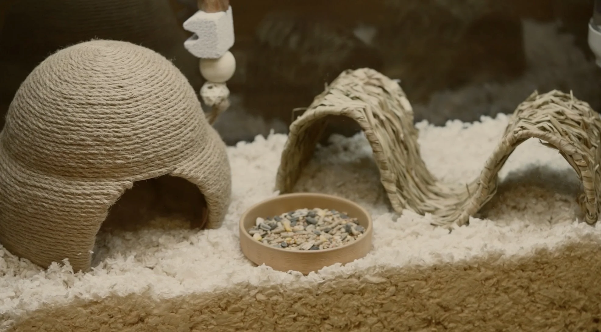 Screenshot 2025-01-29 at 12.49.01 PM 1.jpeg