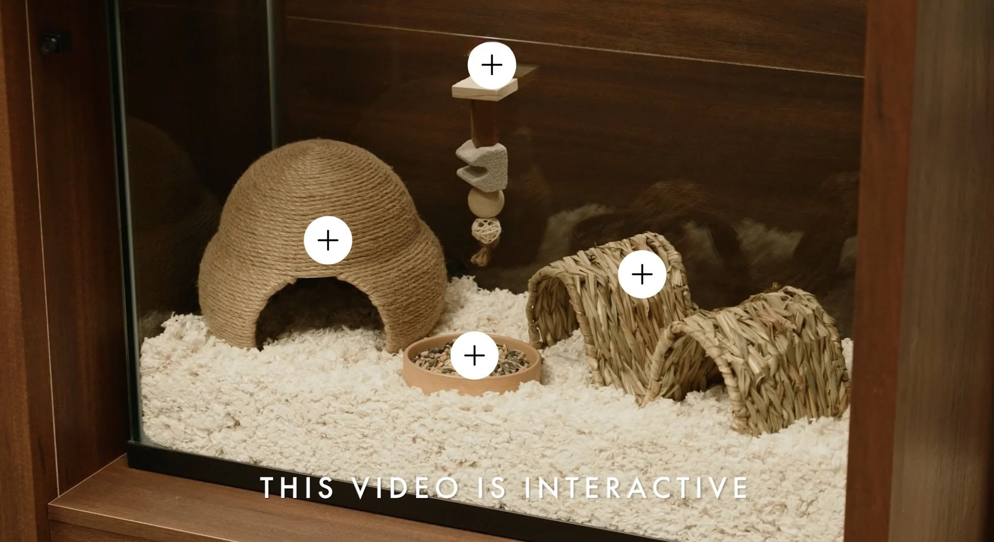 Screenshot 2025-01-29 at 12.49.21 PM.jpeg