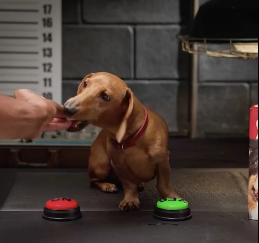 Screenshot 2025-01-30 at 3.54.18 PM (2).jpeg