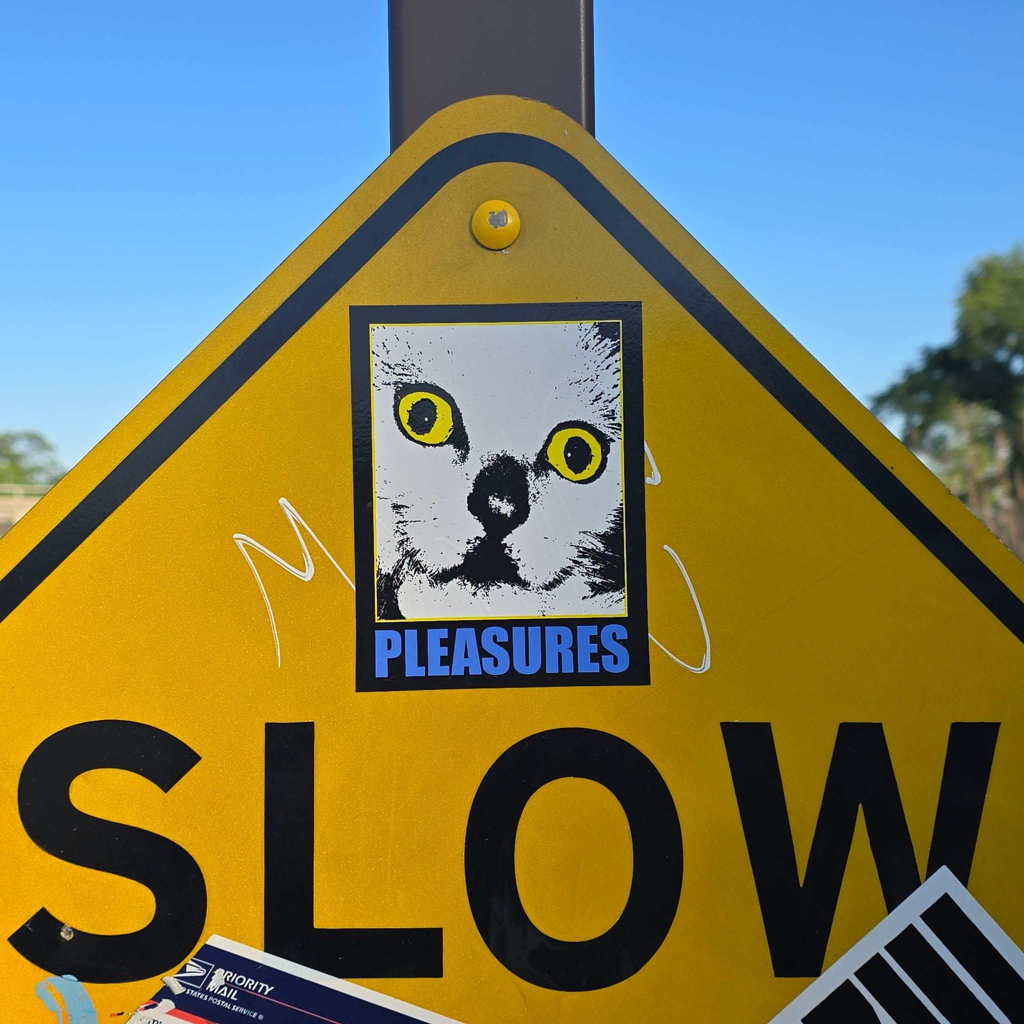 #slowpleasures