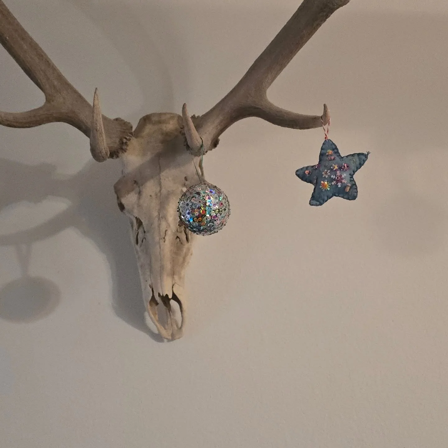 Behold the bedazzled Christmas skull sent to wish you all a fantastic day. ❤️