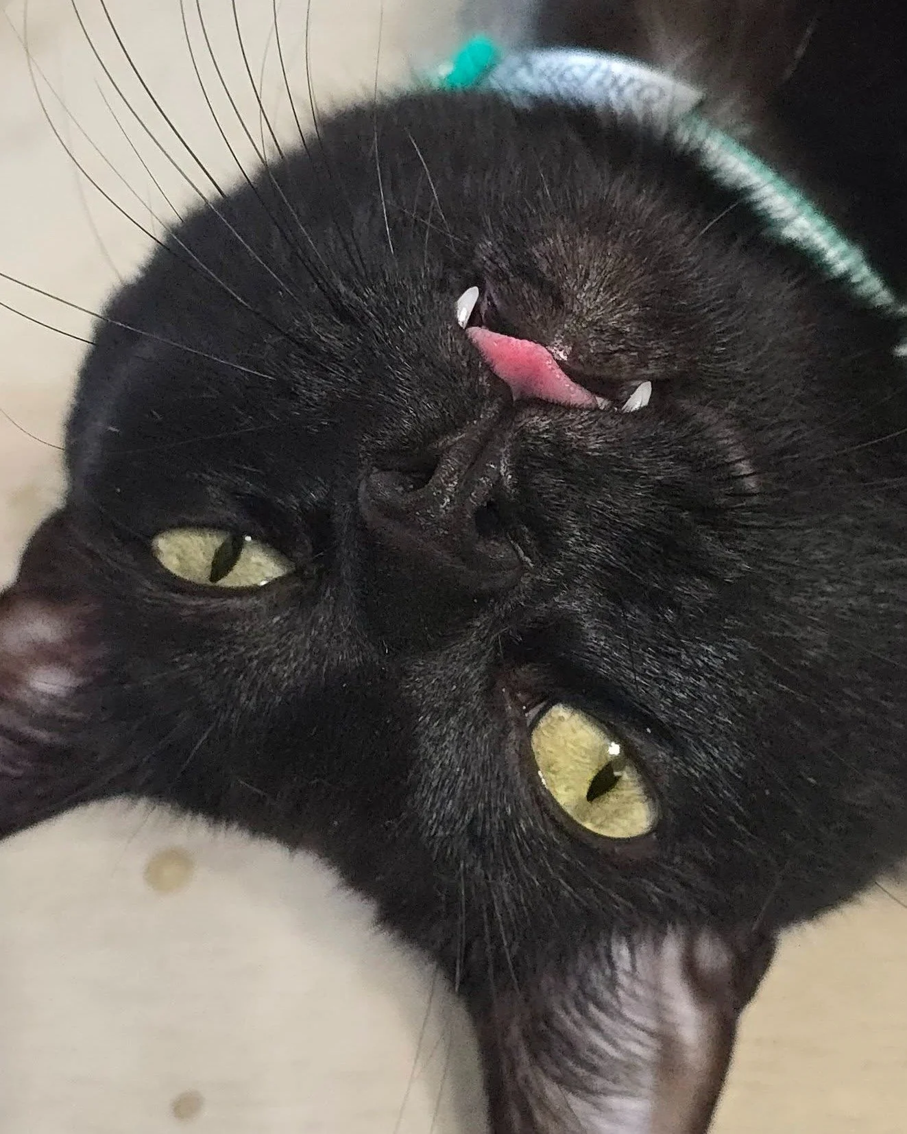 #killer