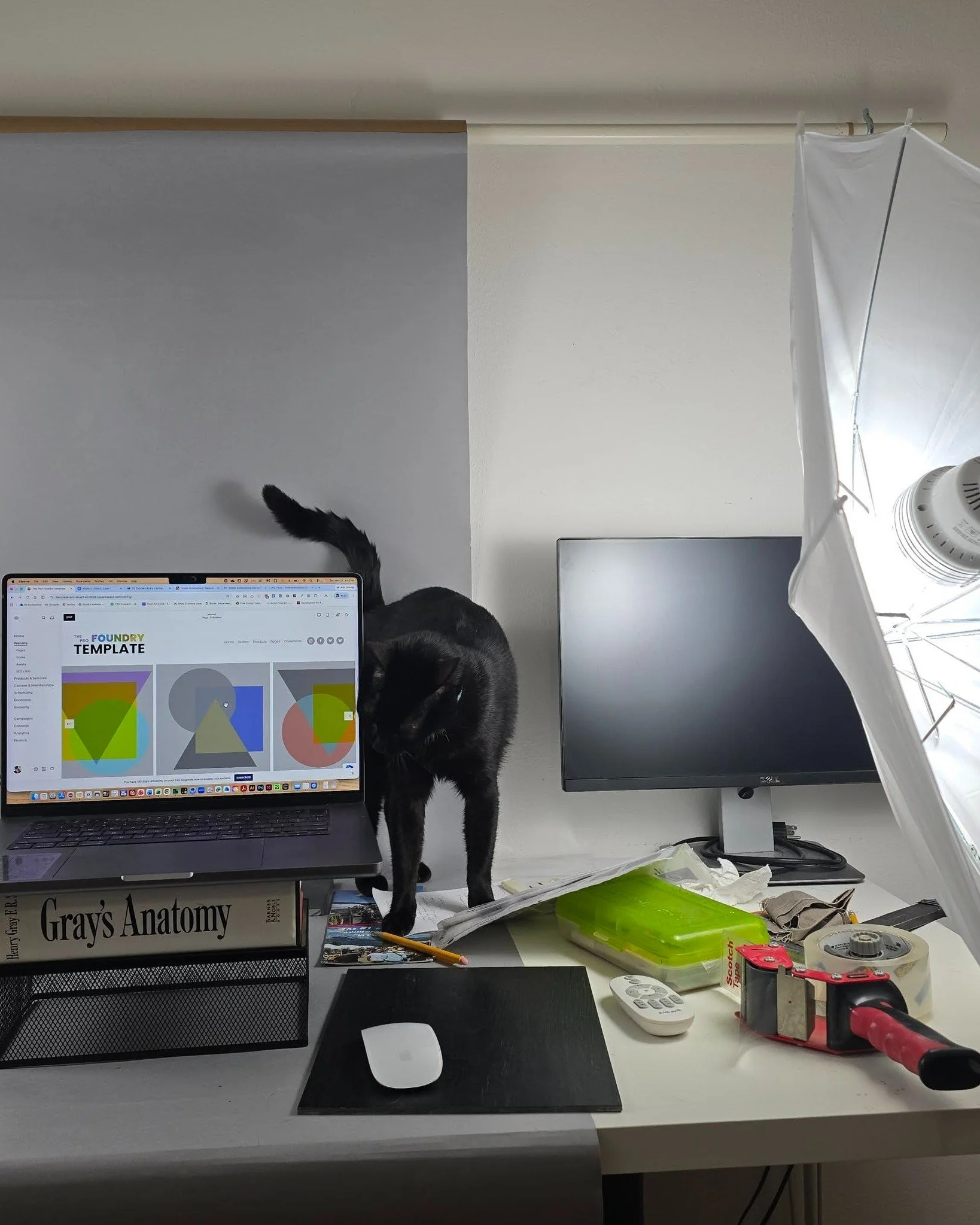 You haven't heard from me in a bit because I have been working on recording the tutorial library for the Foundry Template that I created specifically for artists (soon to be launched). 

I took over the photo table, recruited the studio cat from @dir