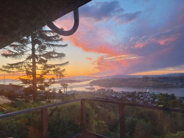 Resized_20210520_201957.jpeg