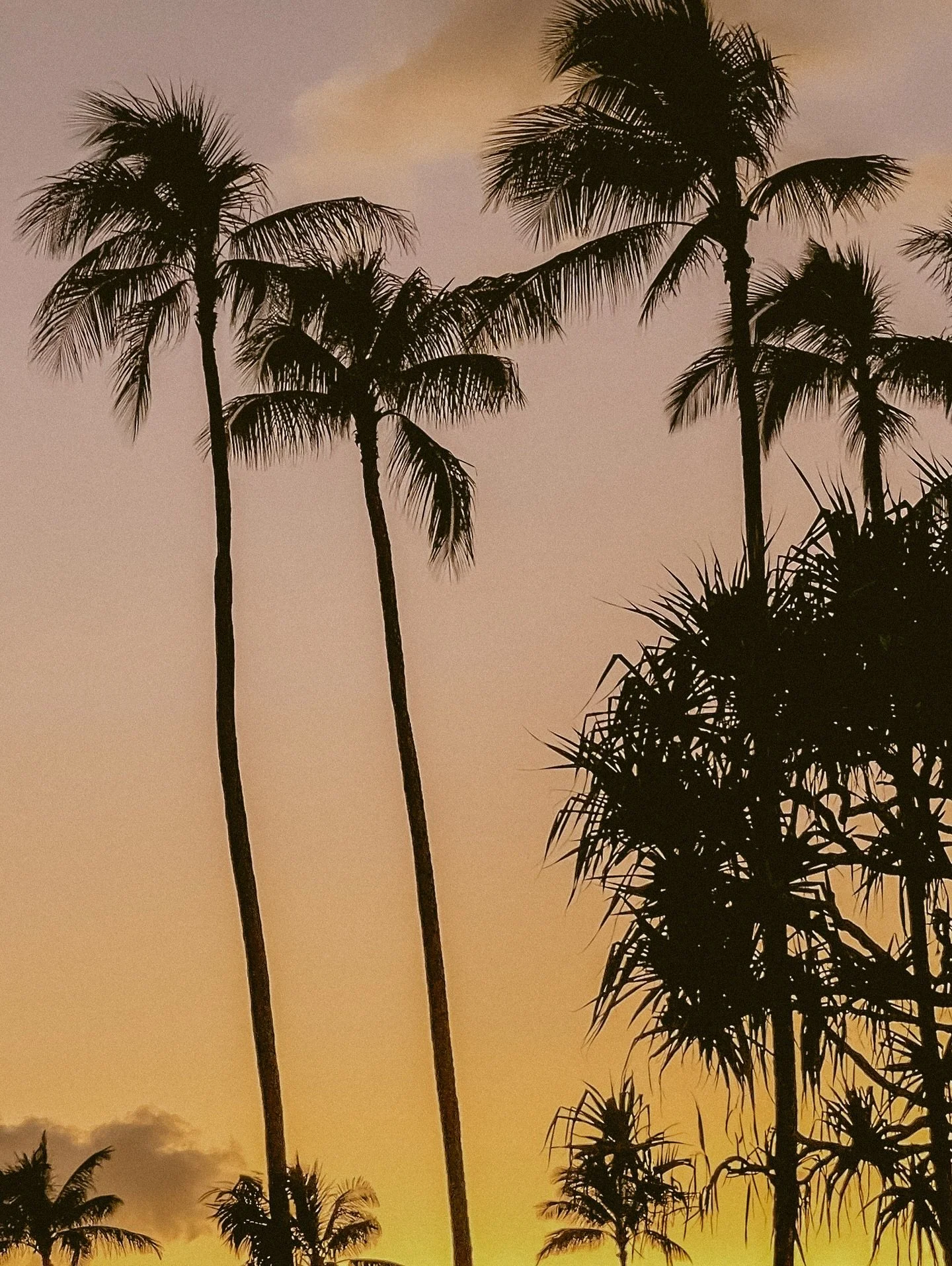 august slipped away like a bottle of wine
.
.
.
.
#oahu #oahulife #hawaiiphotographer