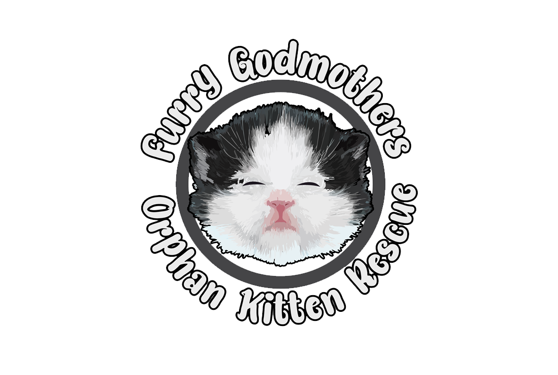 Furry Godmothers Orphan Kitten Rescue