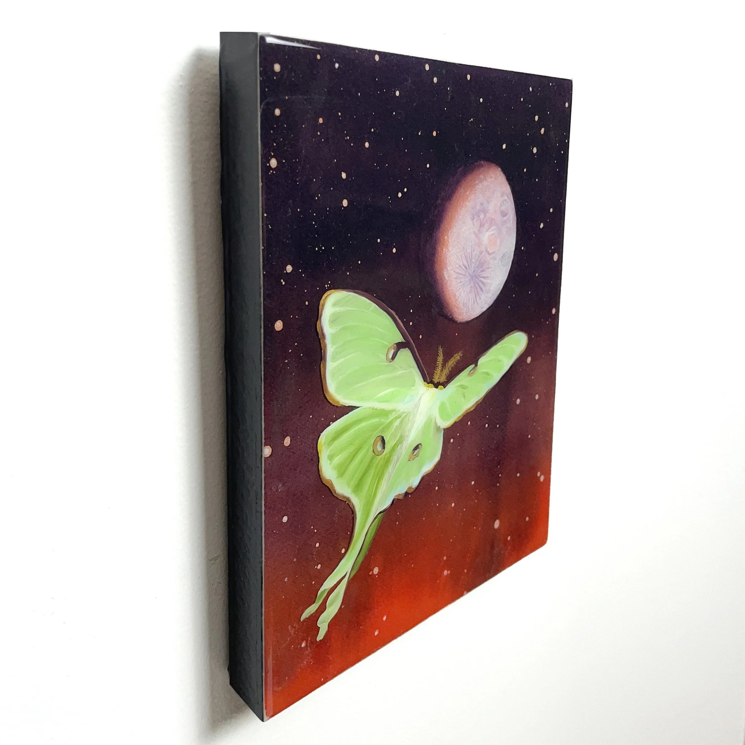 8x10-moonMoth-side.jpg