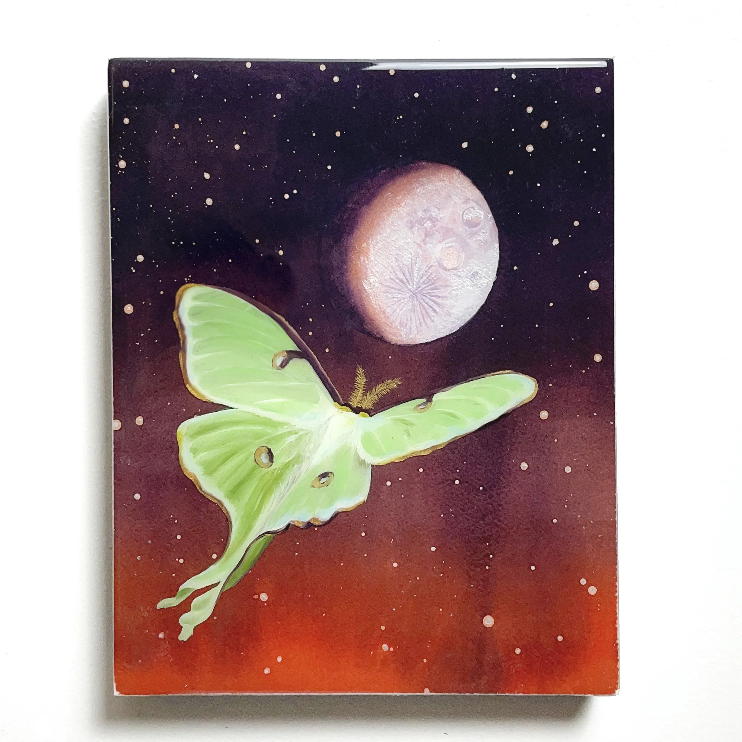 8x10-moonMoth.jpg