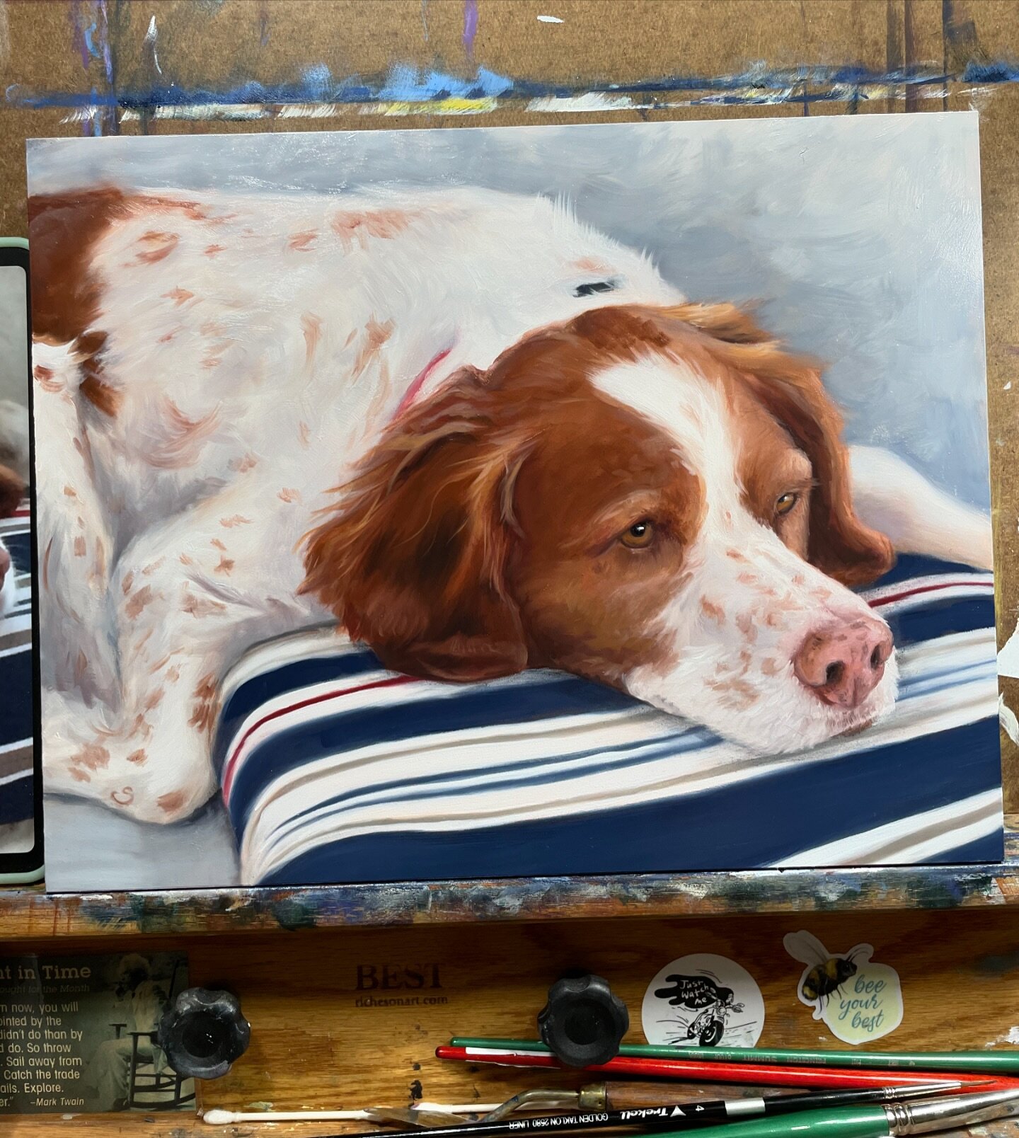 This is Tara. Isn&rsquo;t she a cutie??
I want to boop her nose.  I wish I could meet all the dogs I paint. ❤️🐾
.
This one is 11x14&rdquo; on cradled board. 
.
.
.
.
.
#dogportrait #portraitpainting #oilpaint #dogsofinsta #doglover