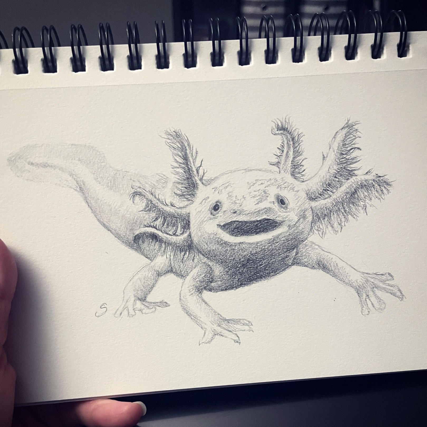 This is a for real animal! Lololol 

This axolotl was on my list for a while and I was finally able to draw this silly thing. 

Isn&rsquo;t it just ridiculous? I love this lil guy. He&rsquo;s so happy. He doesn&rsquo;t axolotl questions. Just accepts