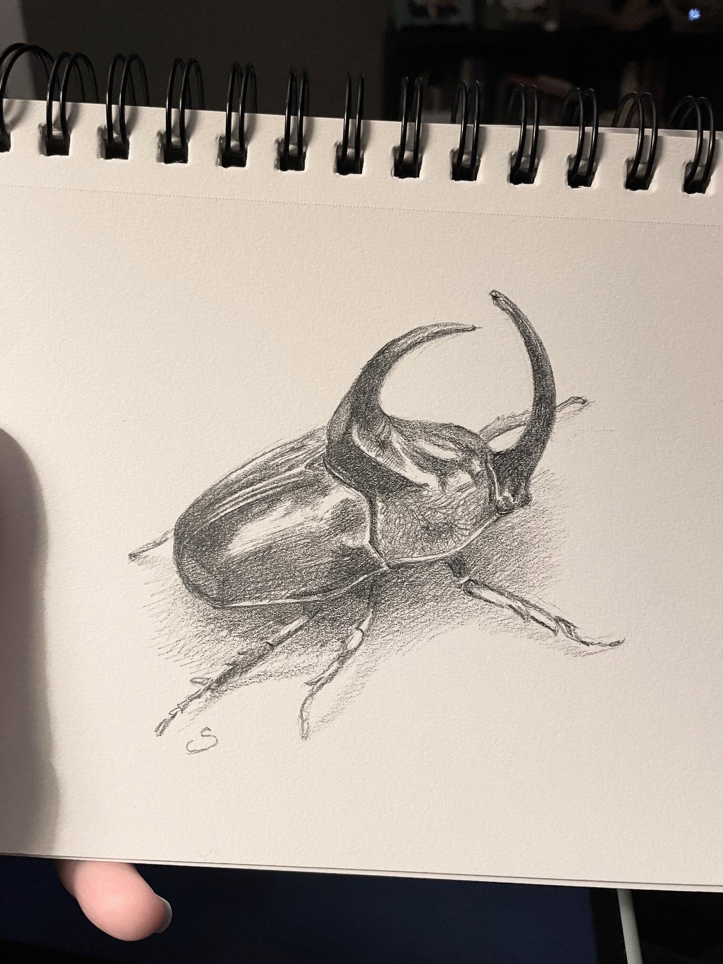 I drew a rhinoceros beetle. It&rsquo;s one of the strongest creatures on the planet. This tiny tank can lift over 800 times its body weight, protected by natural armor and driven by instinct.

In a world that asks a lot of us (mentally, emotionally +