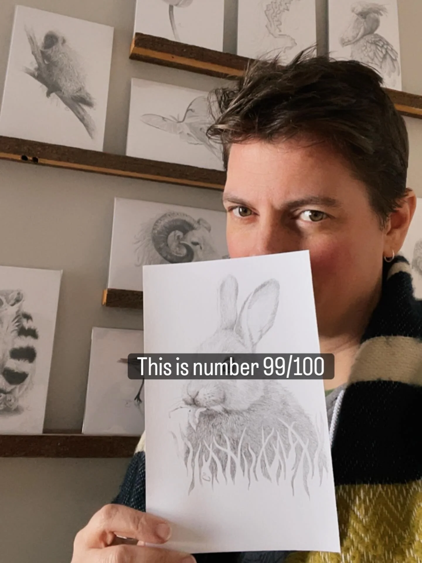 I am finally finishing my Animalia series. I started this four years ago to help me keep creating in the throes of early motherhood. It has been extremely helpful to keep a low stakes ongoing creative project in my life. Sometimes it fell to the side