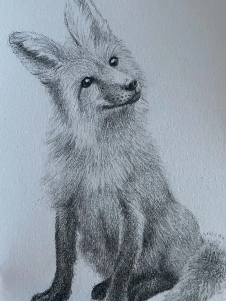 The last drawing is complete and we are done with Animalia: a journey of 100 drawings!! 

I will be launching these in the next few weeks on my site, if you want to be first in line to purchase one, you MUST be on my email list! (Dm for deets)

I&rsq