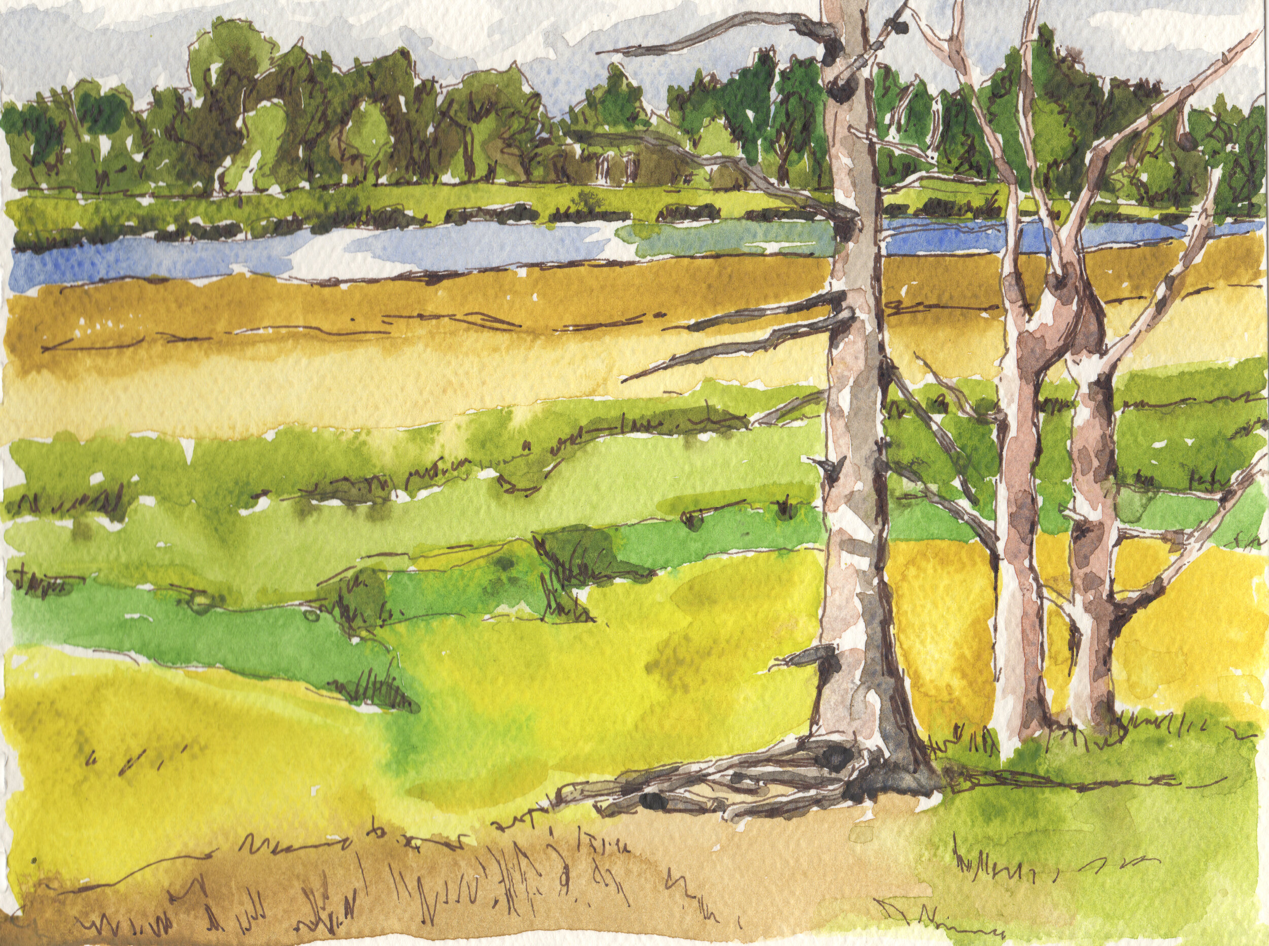 Yellow Marsh