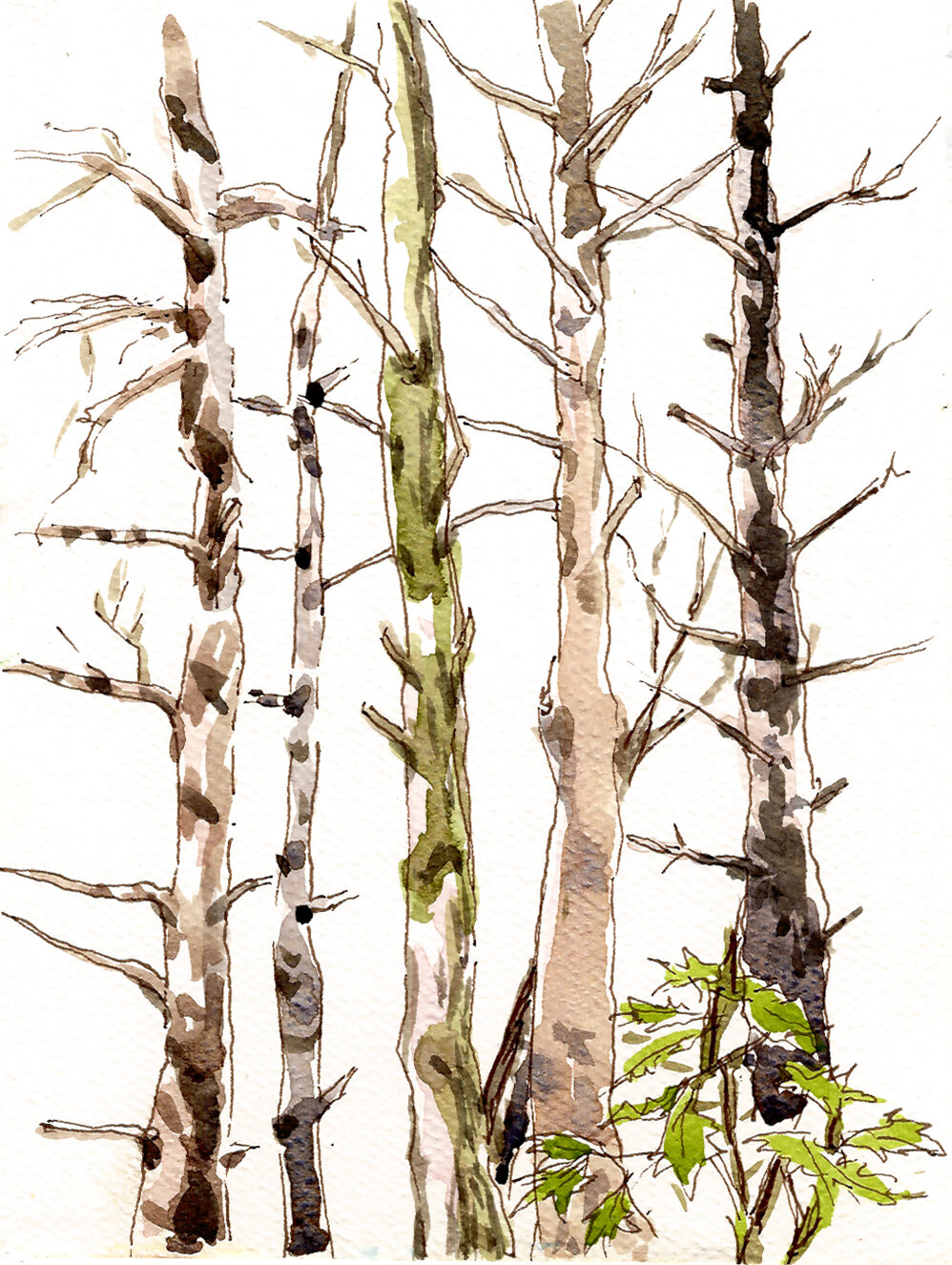 Tree View