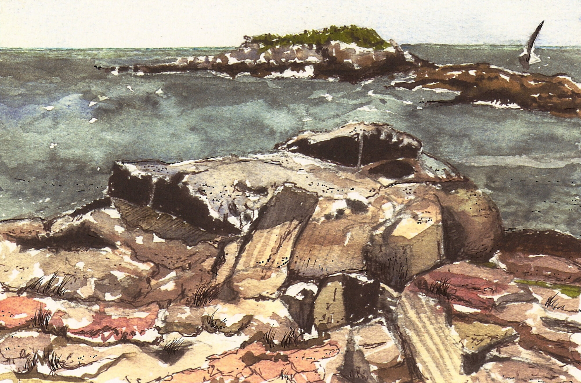 Rocky View at Reid State Park