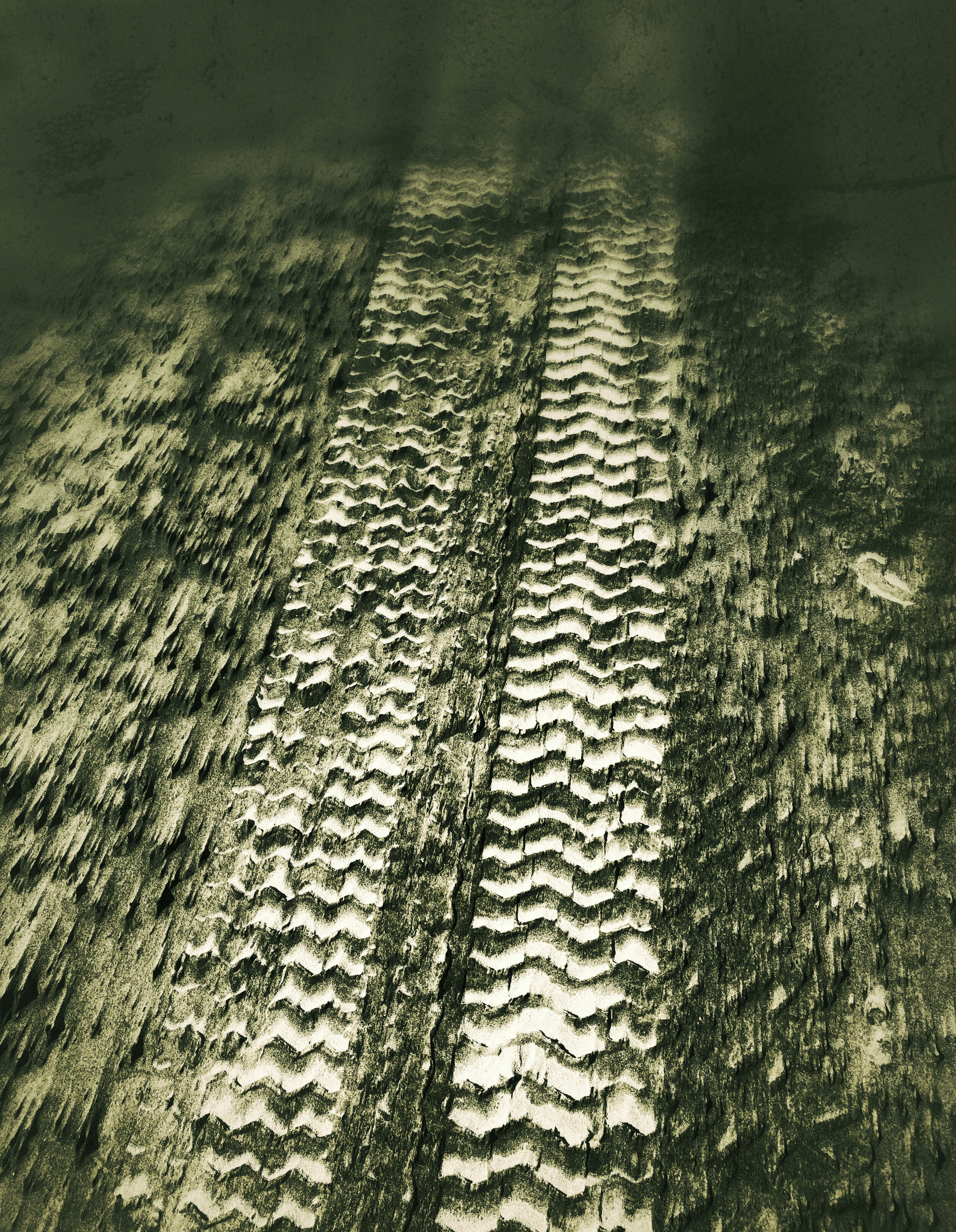 Tracks in the Sand