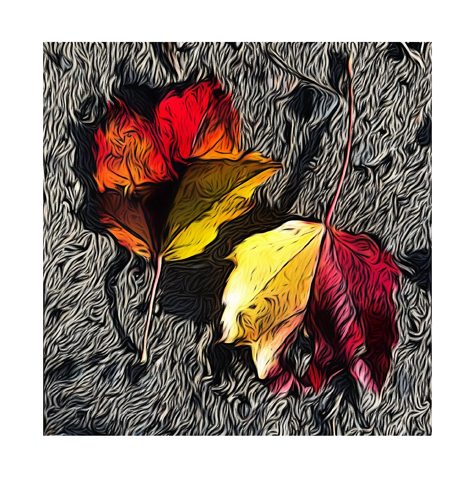 FALLEN LEAVES
