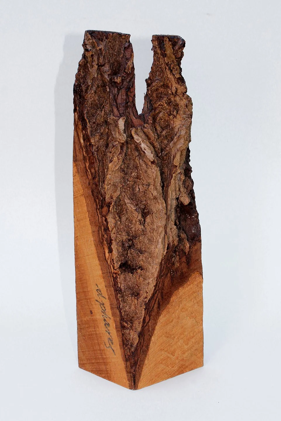 IRREPRESSIBLE APRON (rear view)