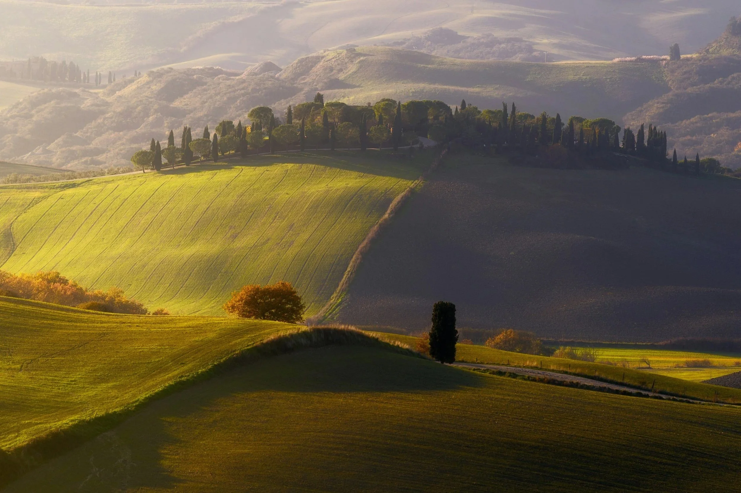 Golden sunlight illuminating rolling green hills and cypress trees in the Val d'Orcia countryside of Tuscany Italy