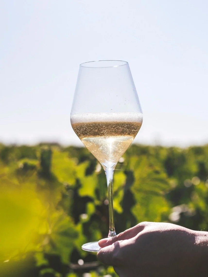 Something bubbly is on the horizon&hellip; Here's a little sneak peek of where our team will be in two weeks! 🍾✨

Picture credit to champagnepommery. 

#tourismefrance #francetourisme #visitfrance #france #francetravel #visiteurope #tournesoltravel 