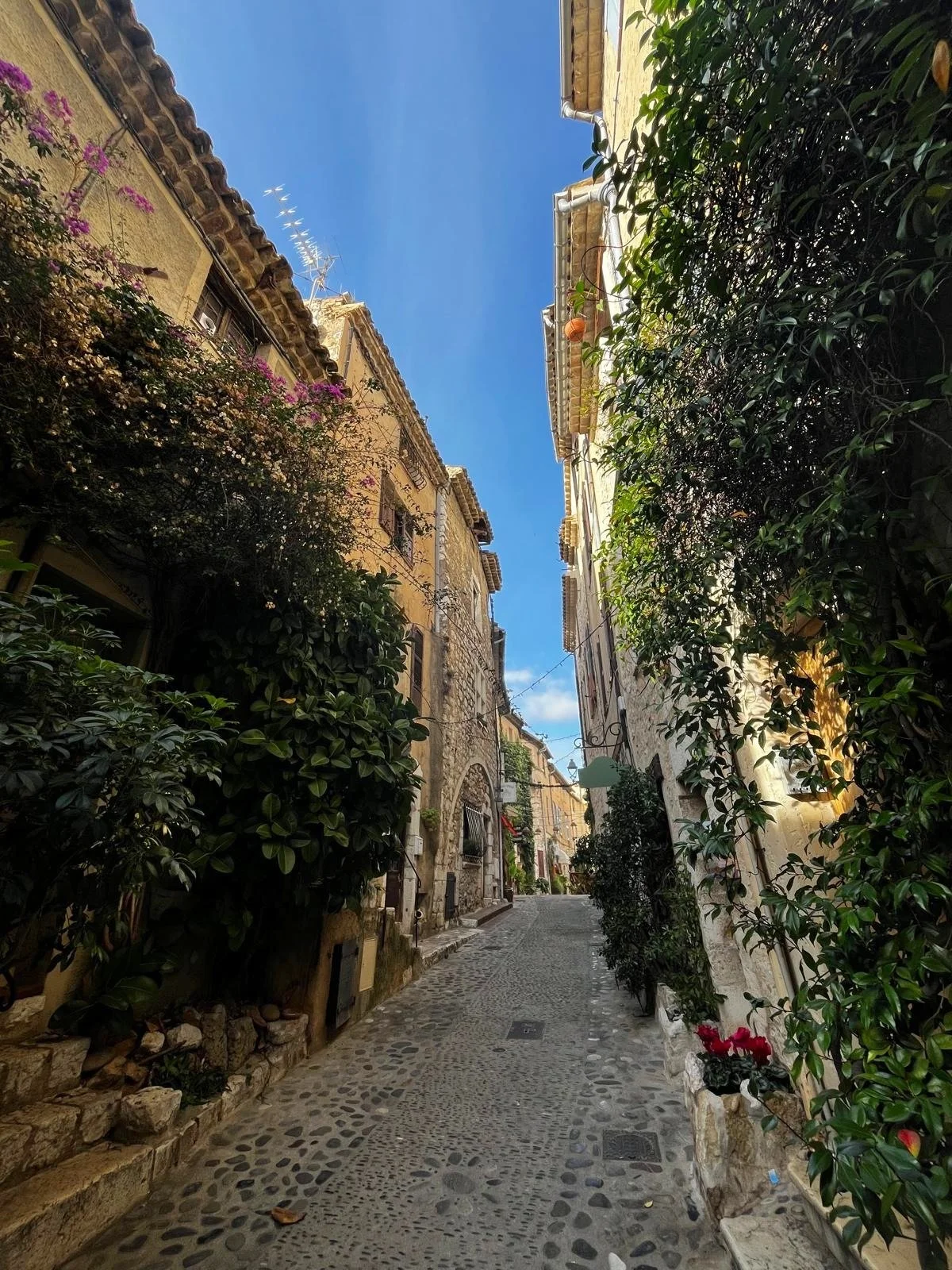 Late-autumn charm in the C&ocirc;te d&rsquo;Azur&rsquo;s loveliest corner: St Paul de Vence. 🌞🍂

Pictures from our team. 🌻

#stpauldevence #saintpauldevence #autumnvibes #autumninfrance #fallinfrance #tourismefrance #francetourisme #visitfrance #f