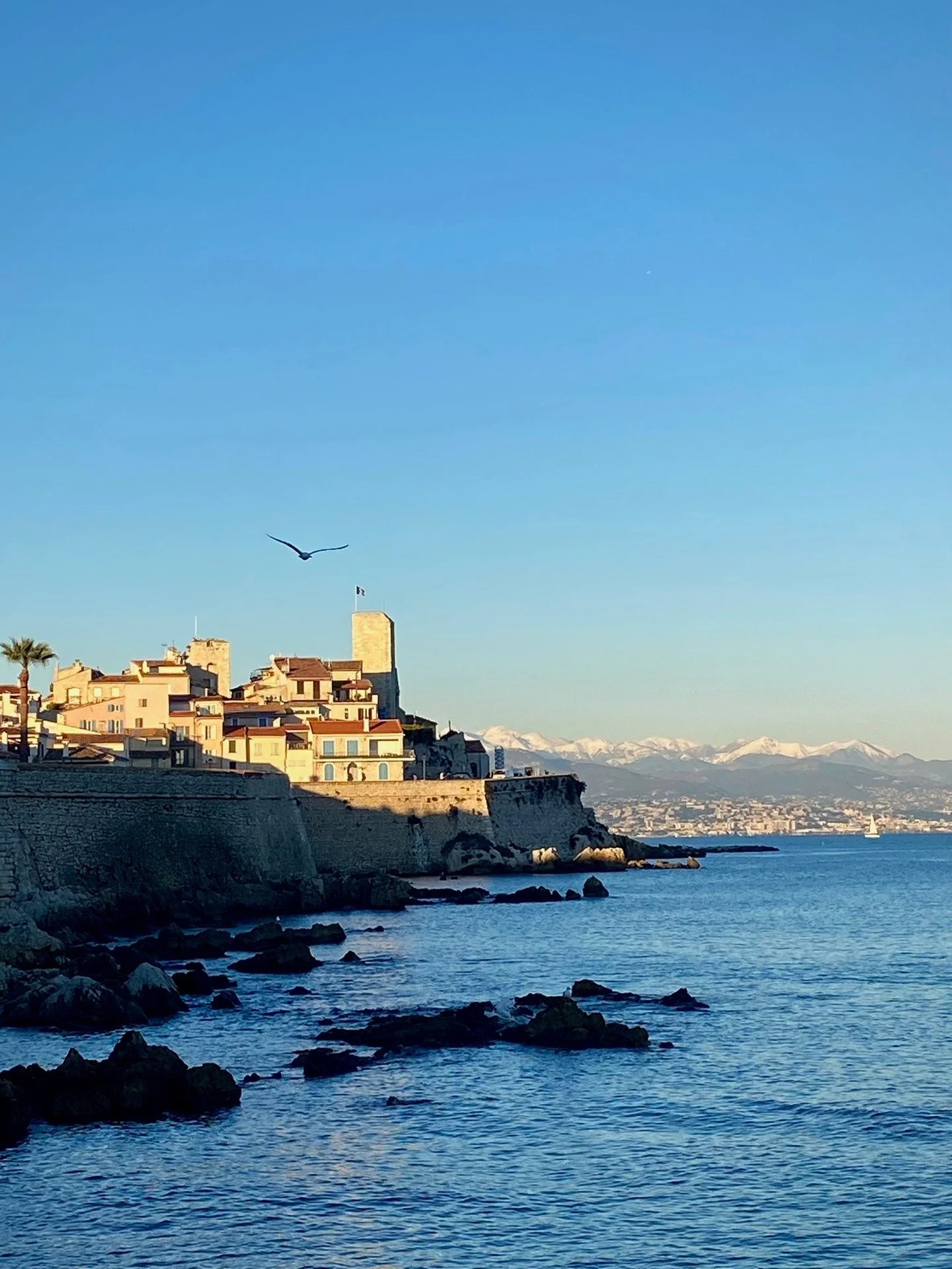 If you need us, we&rsquo;ll be here. 📍Antibes 

Picture by us. Like what you see? We can take you there. 🌻

https://tournesoltravel.com/contact-us

#tourismefrance #francetourisme #visitfrance #france #francetravel #visiteurope #tournesoltravel #fr