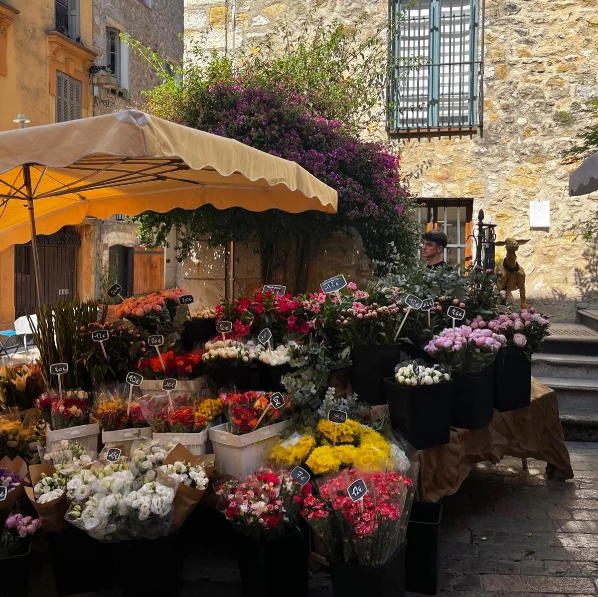 Proven&ccedil;al markets are the heart and soul of Provence, where local flavors, traditions, and everyday life come together. 💛

📍 Valbonne, France 

Pictures from our team! 🌻

#provence #provencealpesc&ocirc;tedazur #tournesoltravel