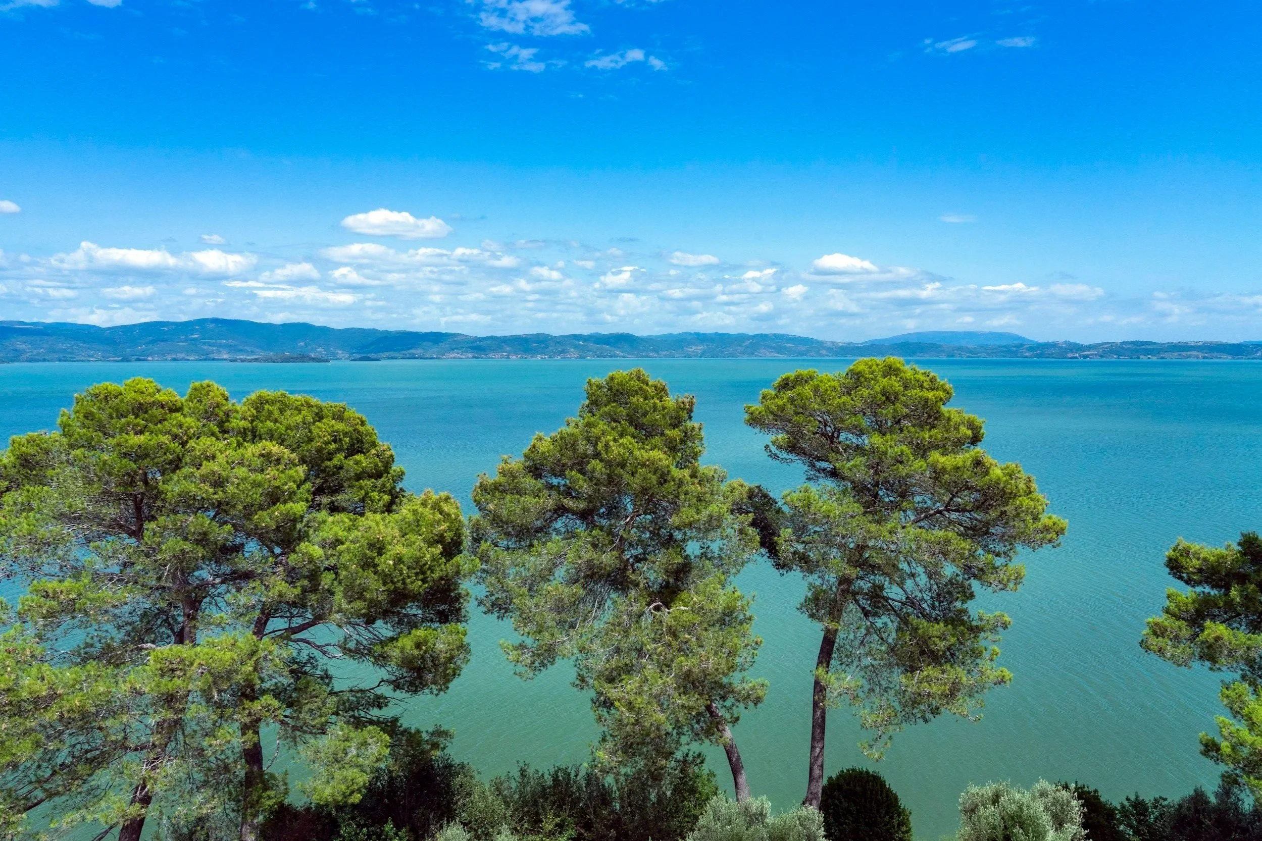 Panoramic view of Lake Trasimeno in Umbria Italy framed by green pine trees and blue sky