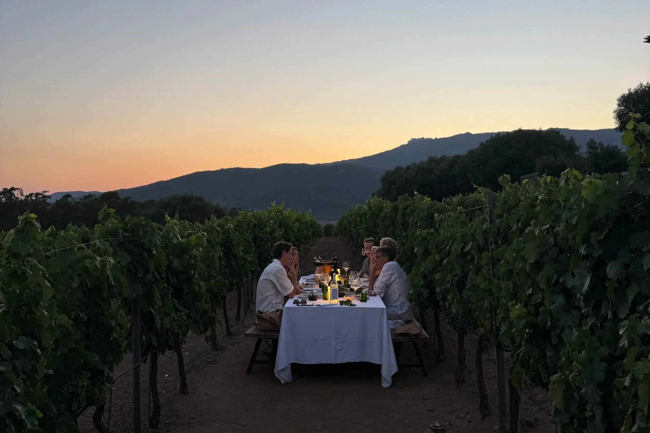 Group enjoying an outdoor dinner set between lush vineyard rows under a golden sunset sky.