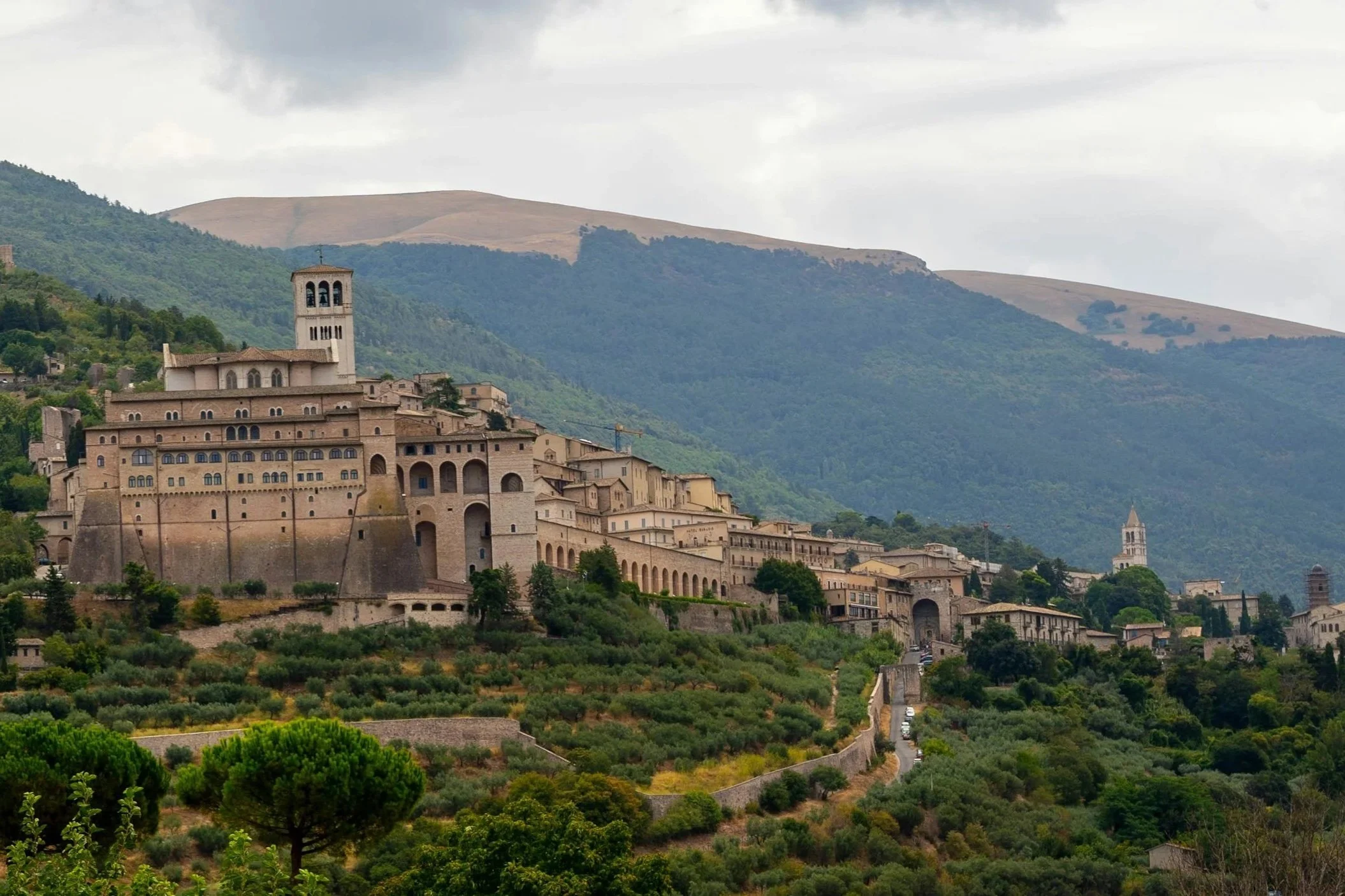 Panorimic view of the Basilica of Saint Francis in Assisi Italy built on a hill surrounded by olive groves