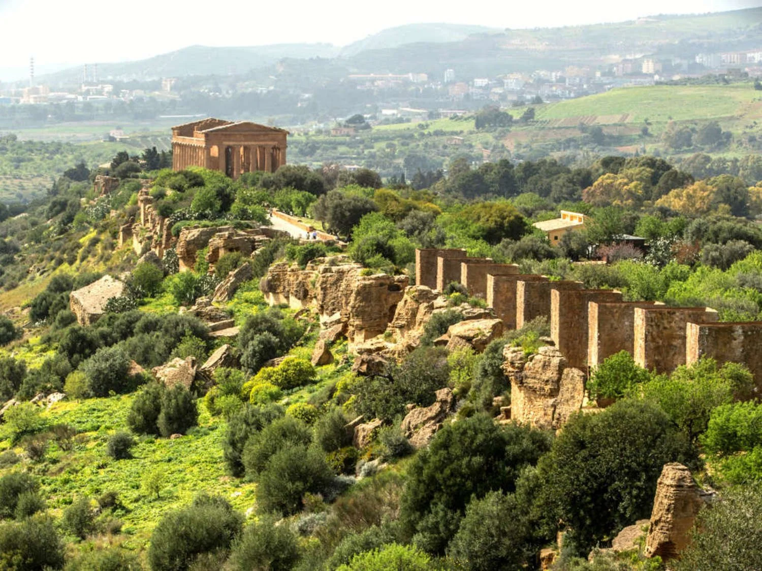High-angle landscape view of the ancient Greek Temple of Concordia standing along a ridge surrounded by olive trees and ancient stone walls at the Valley of the Temples in Agrigento, Sicily.