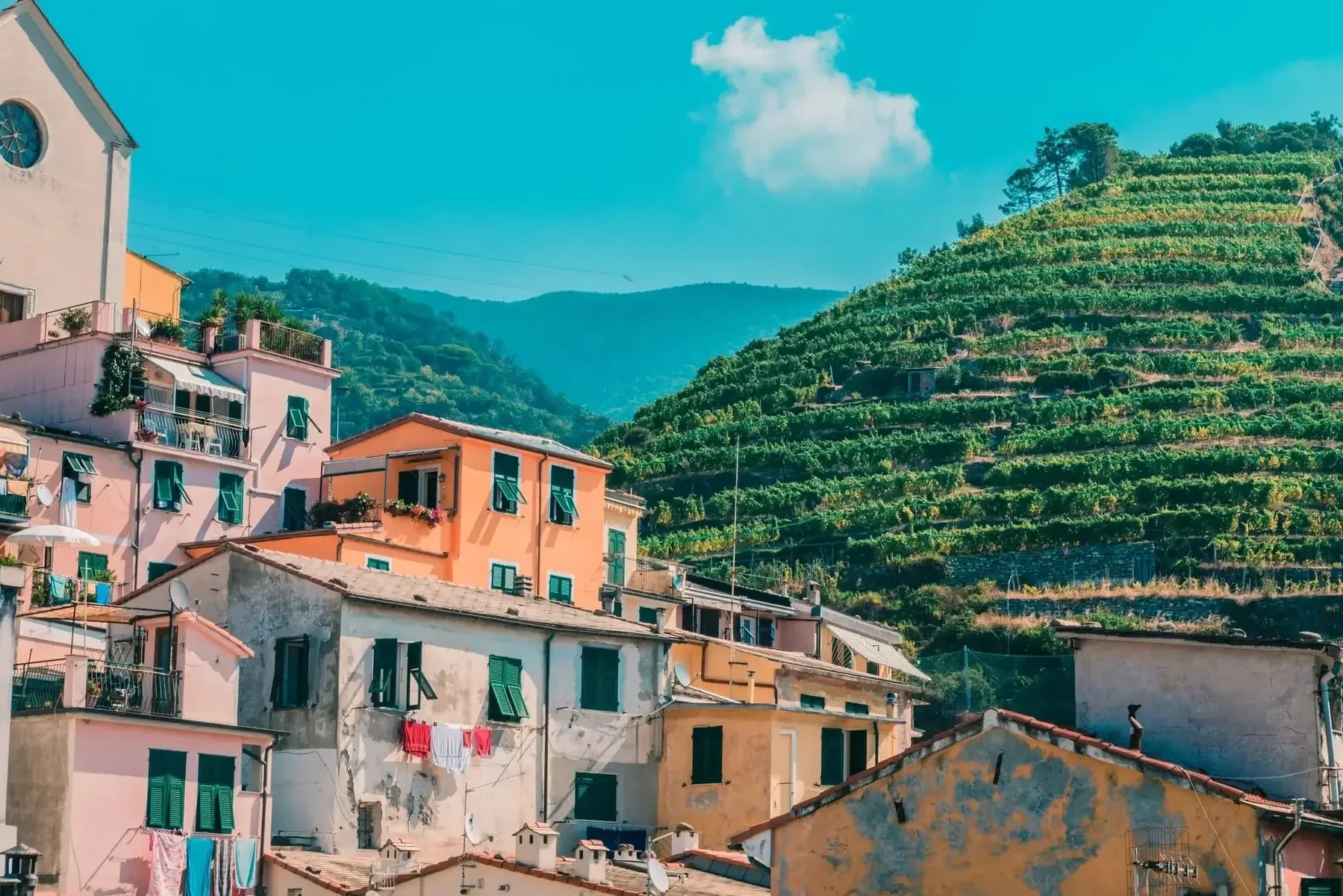 Pastel buildings nestled below steep, green terraced vineyards on a sunny hill in Cinque Terre, Italy.