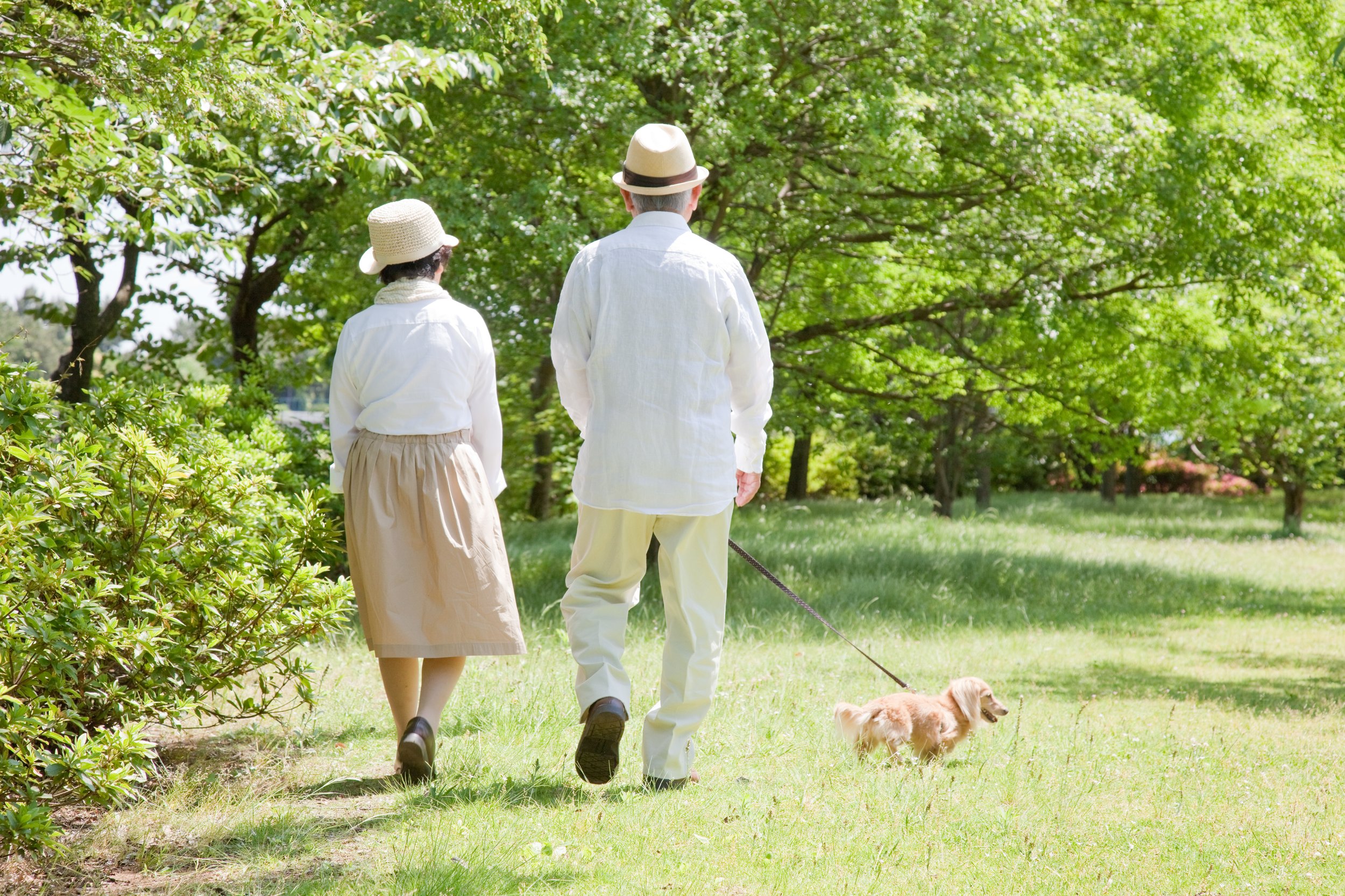 Older couple walking dachsund_iStock-105556828.jpeg